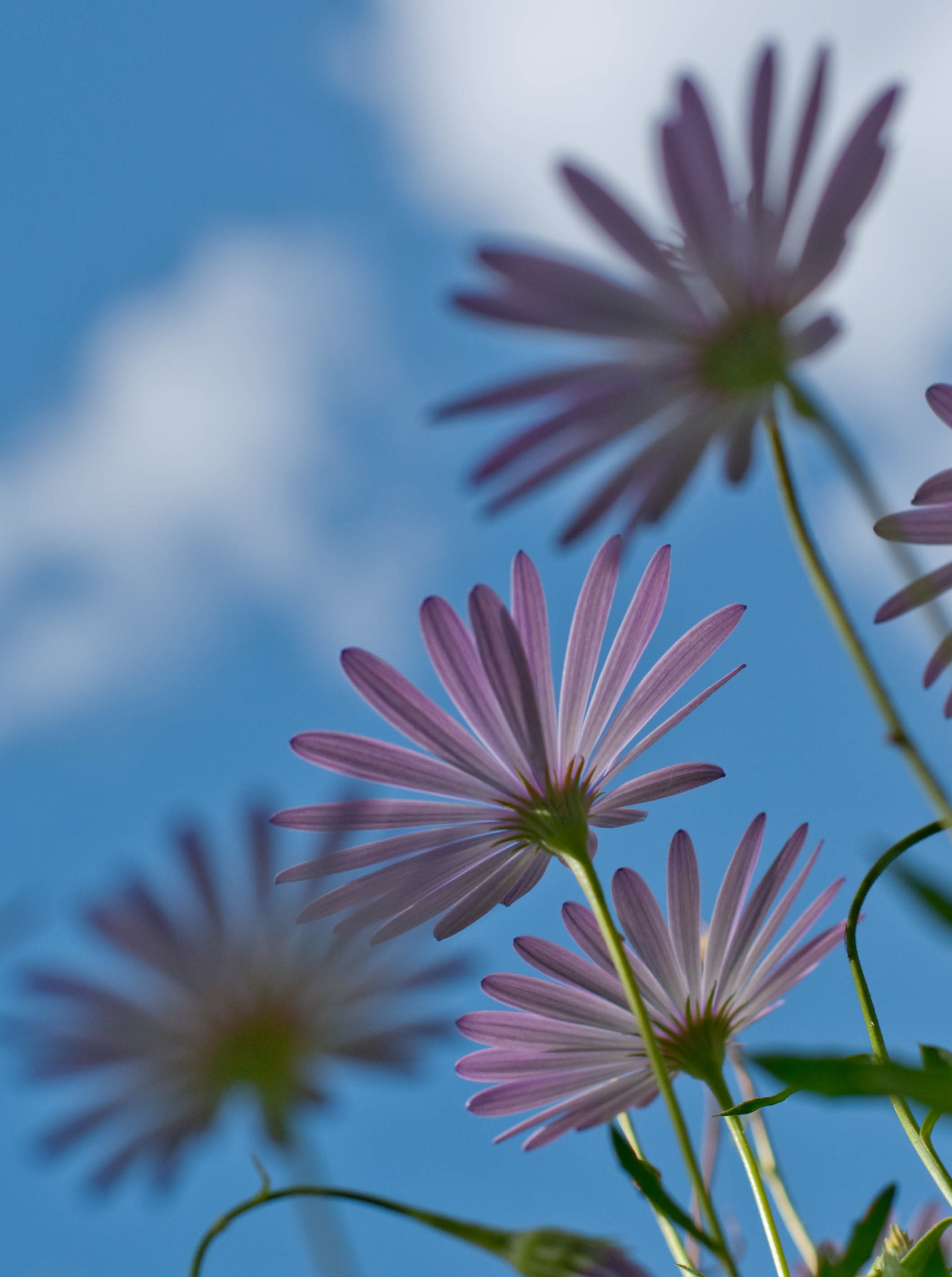 Pentax K20D + Pentax smc FA 50mm F1.4 sample photo. The other side photography