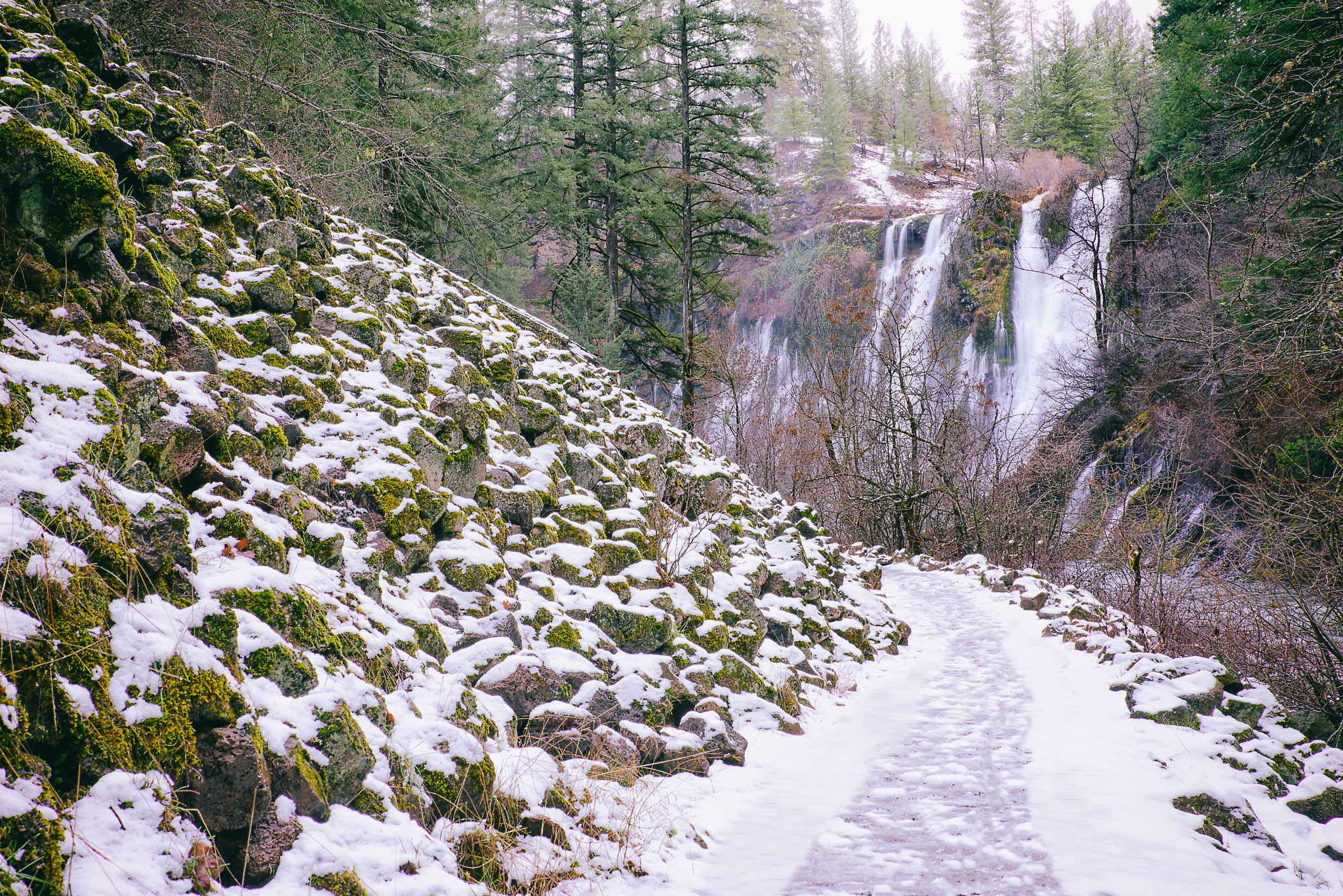 Sony a7R + Tamron SP 24-70mm F2.8 Di VC USD sample photo. Lets walk to the fall photography