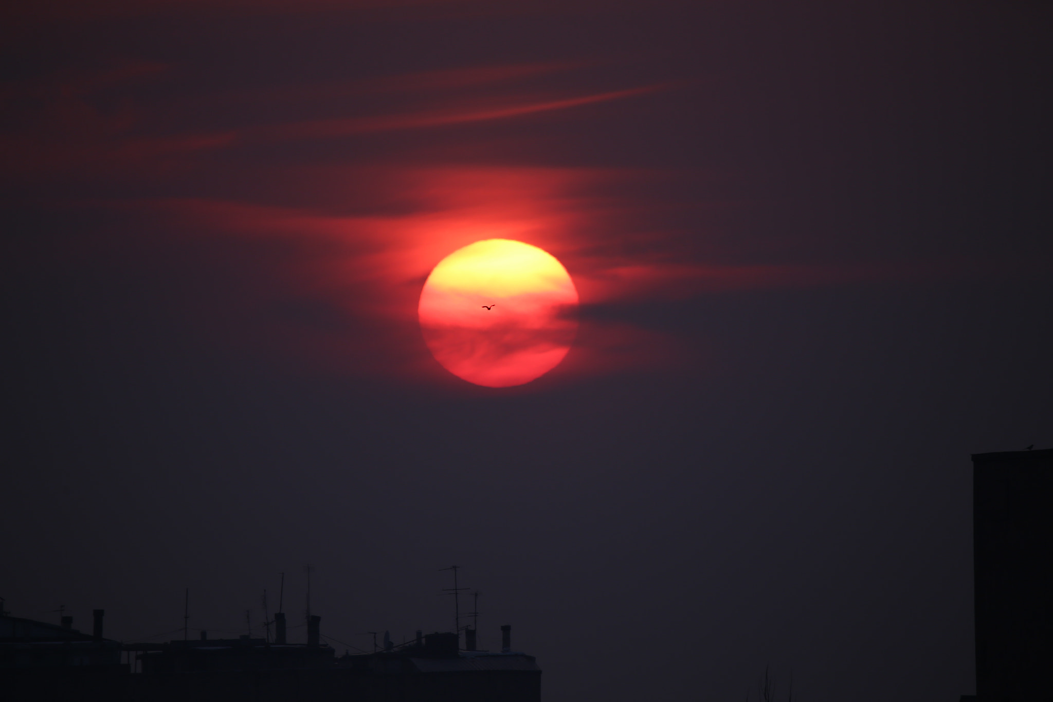 Canon EOS 6D + Tamron SP 150-600mm F5-6.3 Di VC USD sample photo. Sunset photography