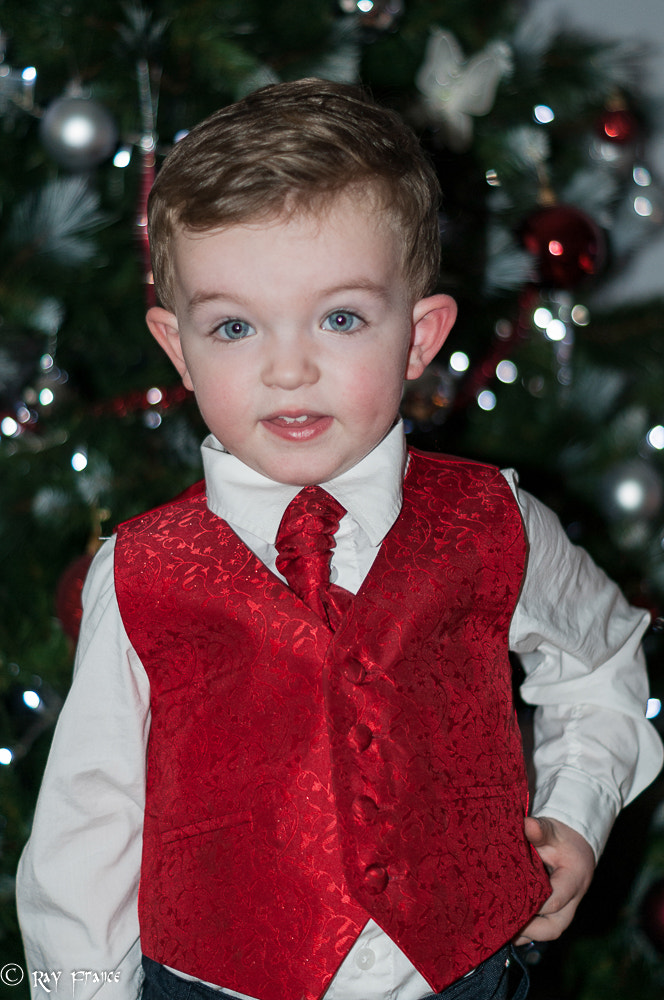 Sony Alpha DSLR-A230 + Sony DT 50mm F1.8 SAM sample photo. Paul 25-12-15 photography