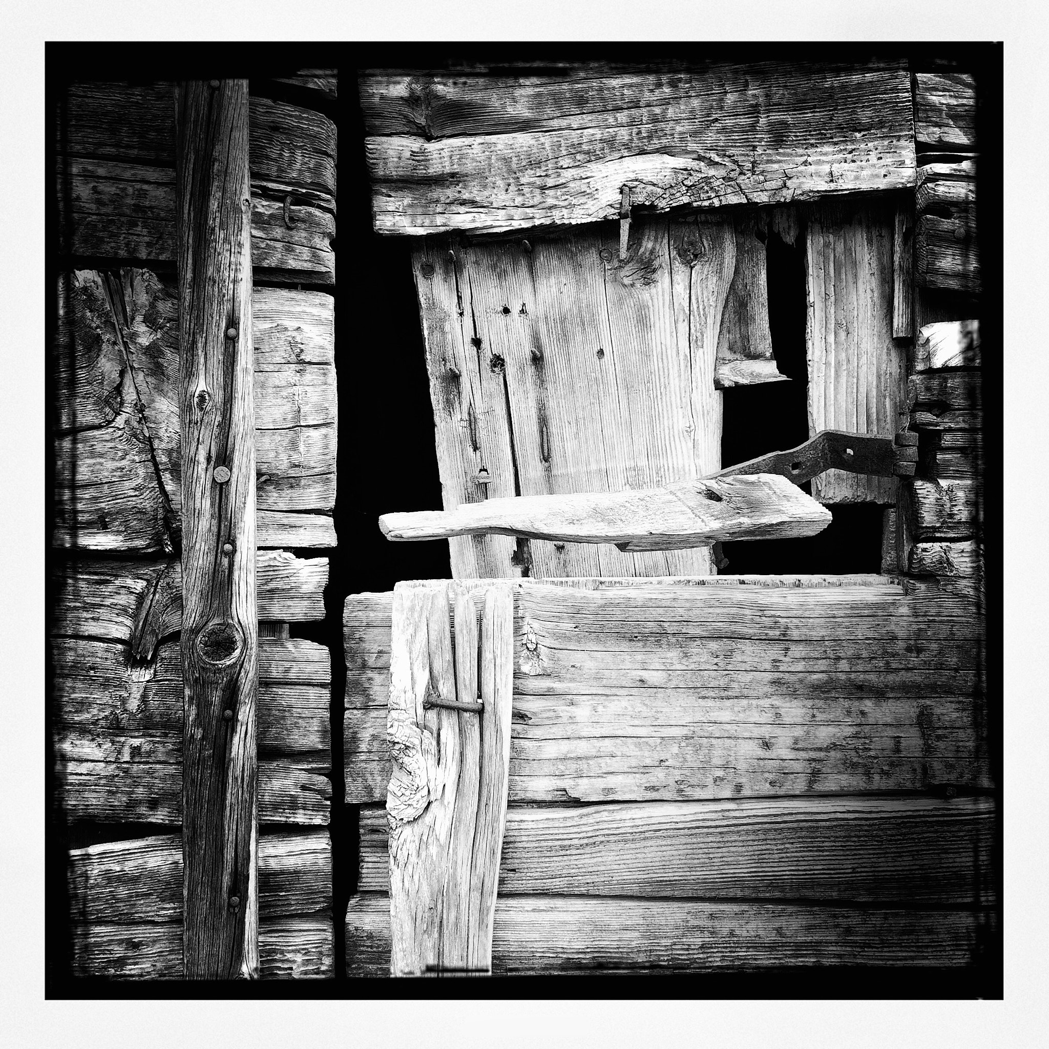 Hipstamatic 304 sample photo. Wood photography