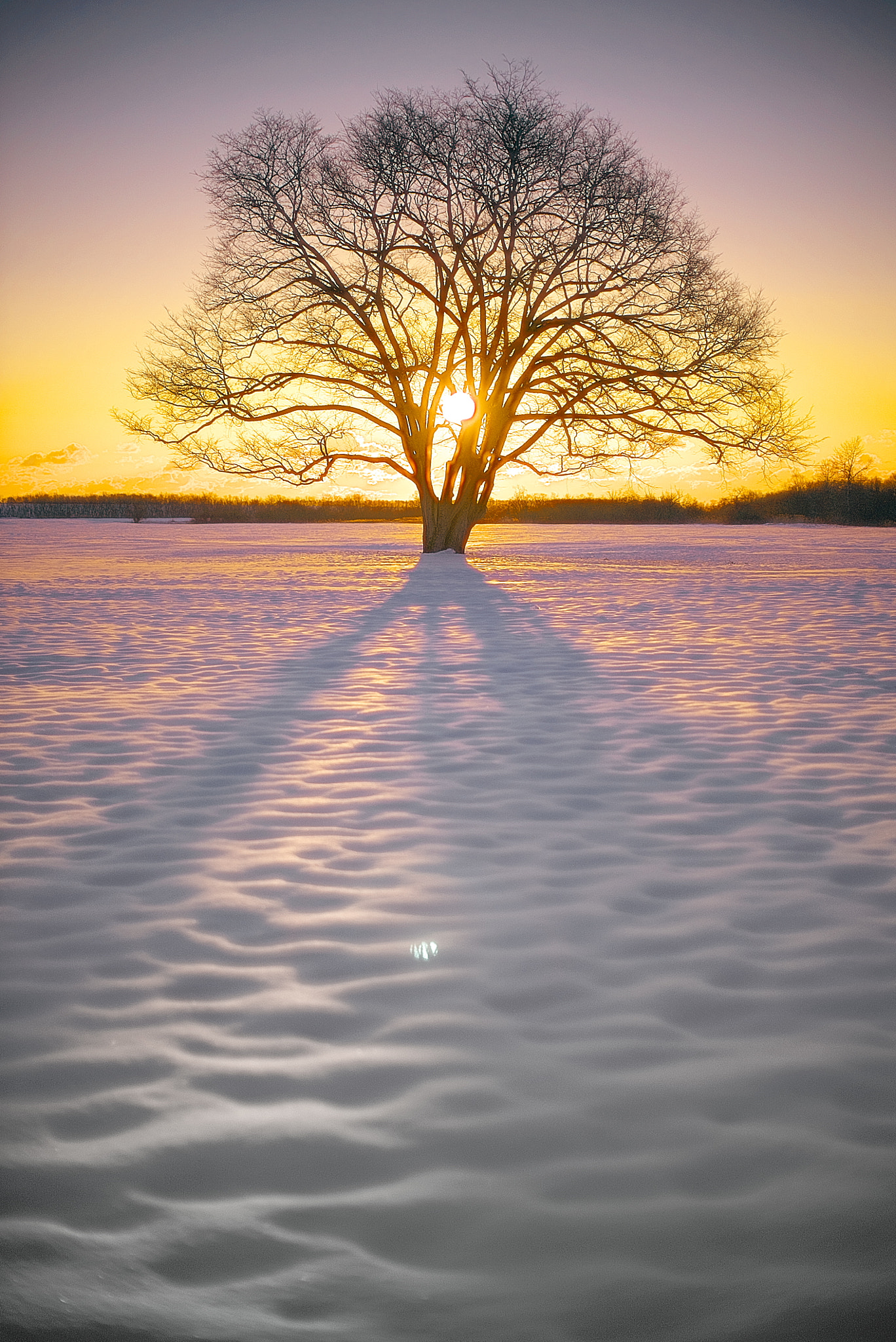 Sony a7S sample photo. Isolation photography