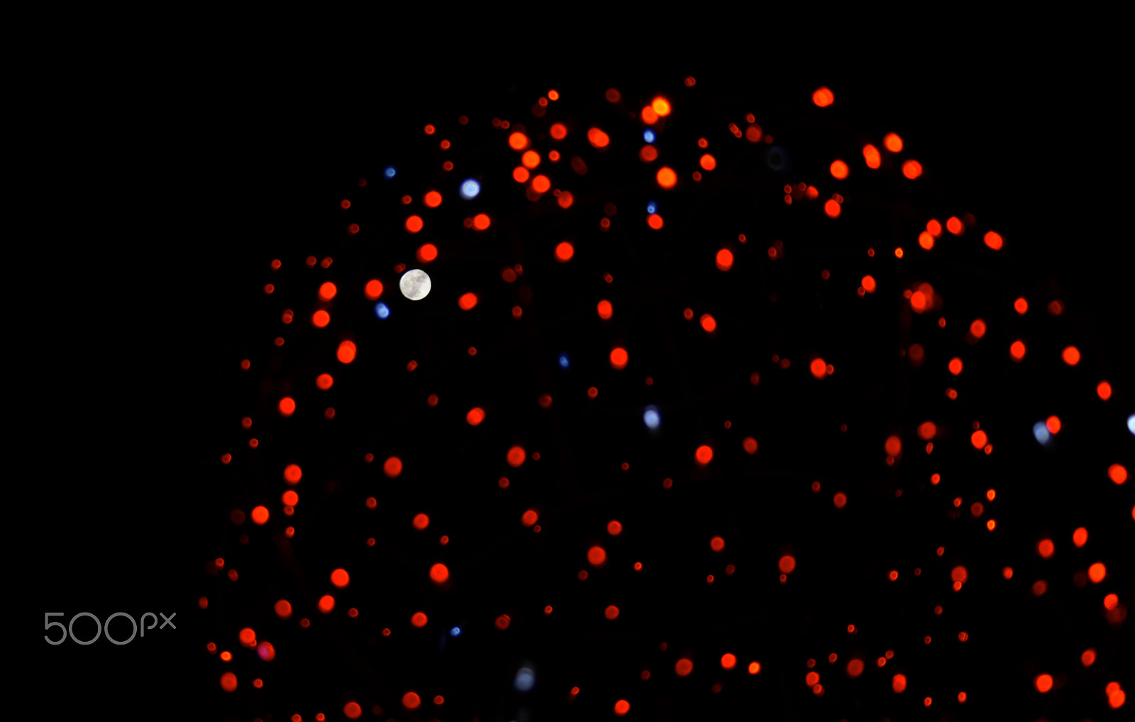 AF Zoom-Nikkor 80-200mm f/4.5-5.6D sample photo. Christmas moon: find me! photography