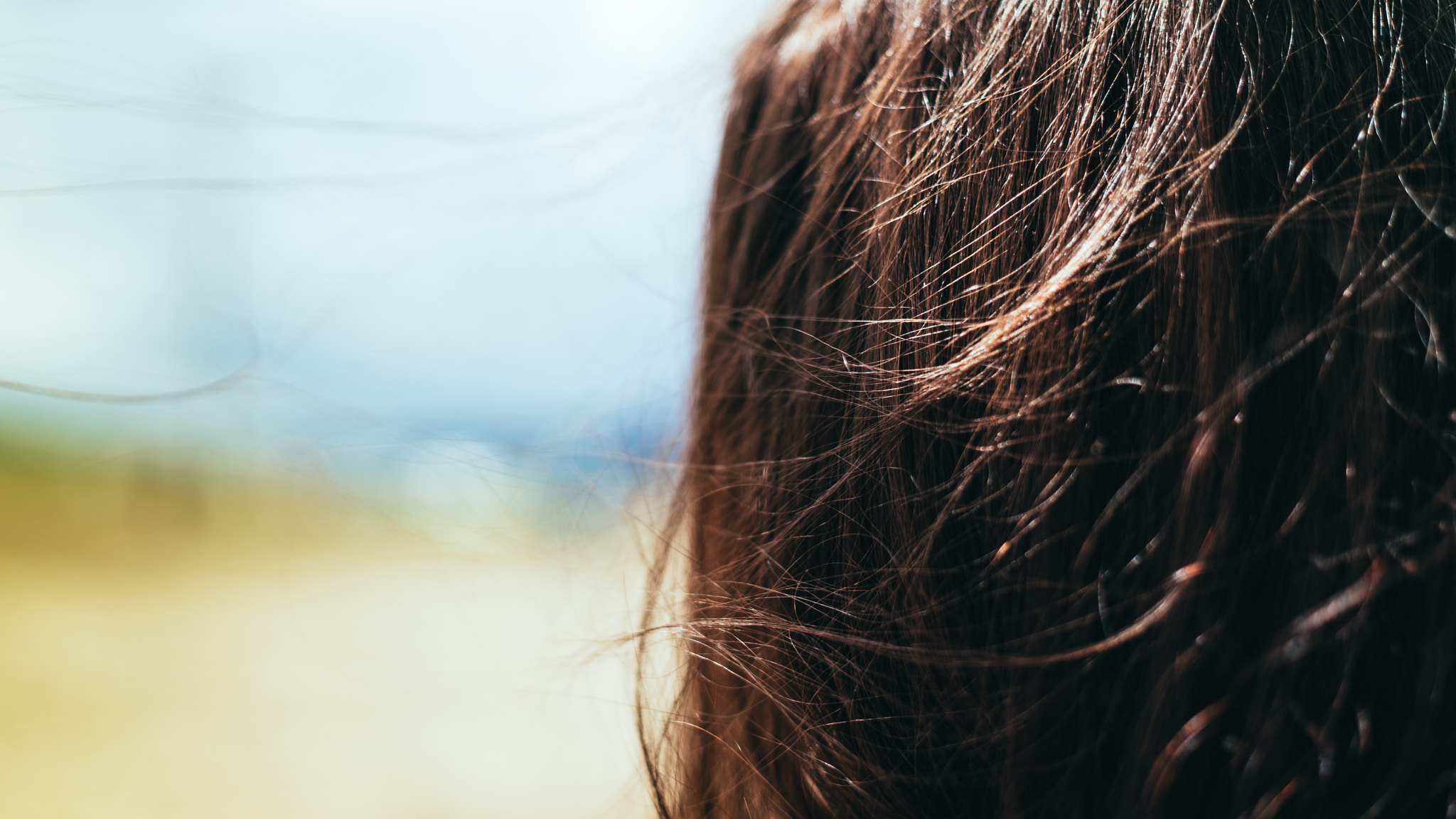 E 50mm F2 sample photo. Hair1 photography