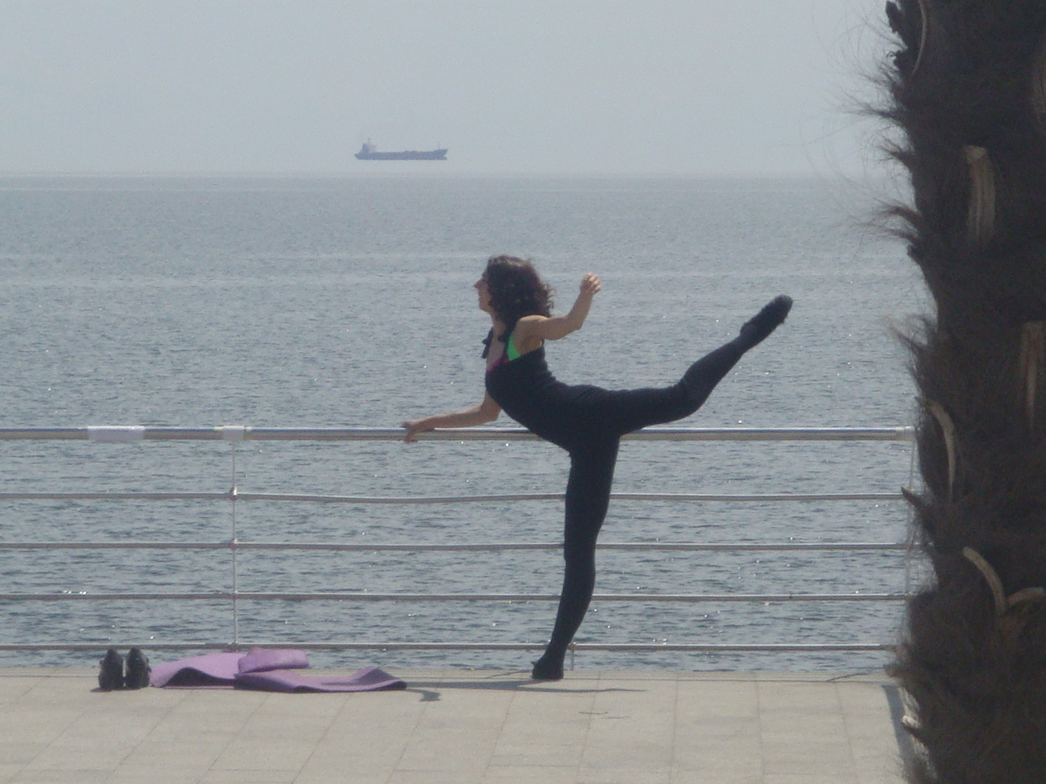 Sony DSC-T2 sample photo. Ballerina's training photography