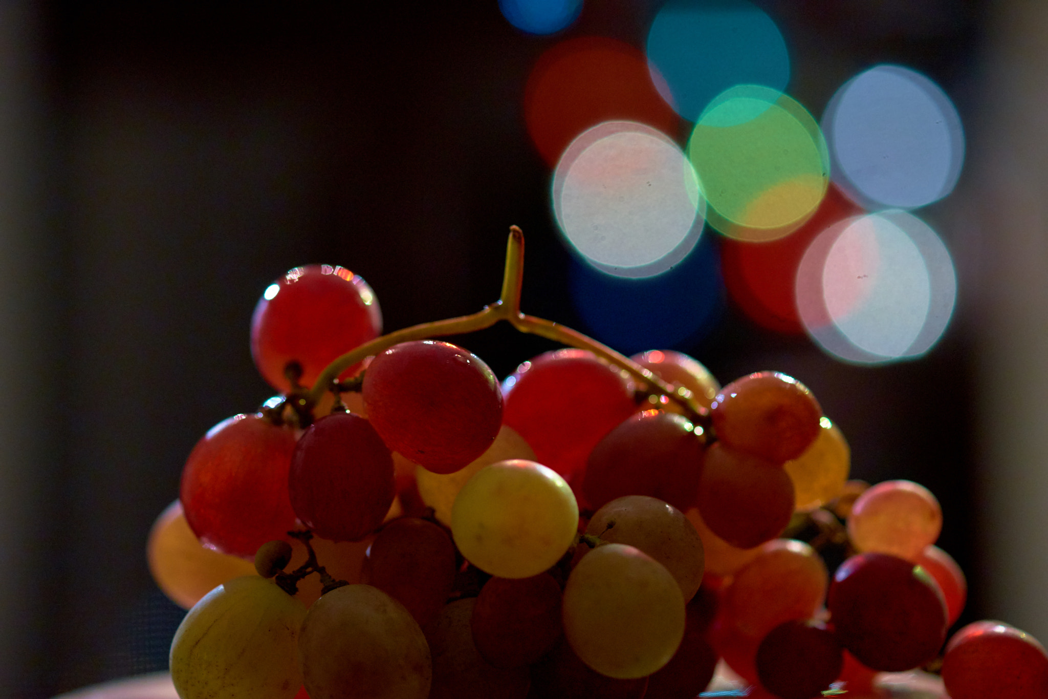 Sony a7 II + Tamron SP AF 90mm F2.8 Di Macro sample photo. Grape .... photography