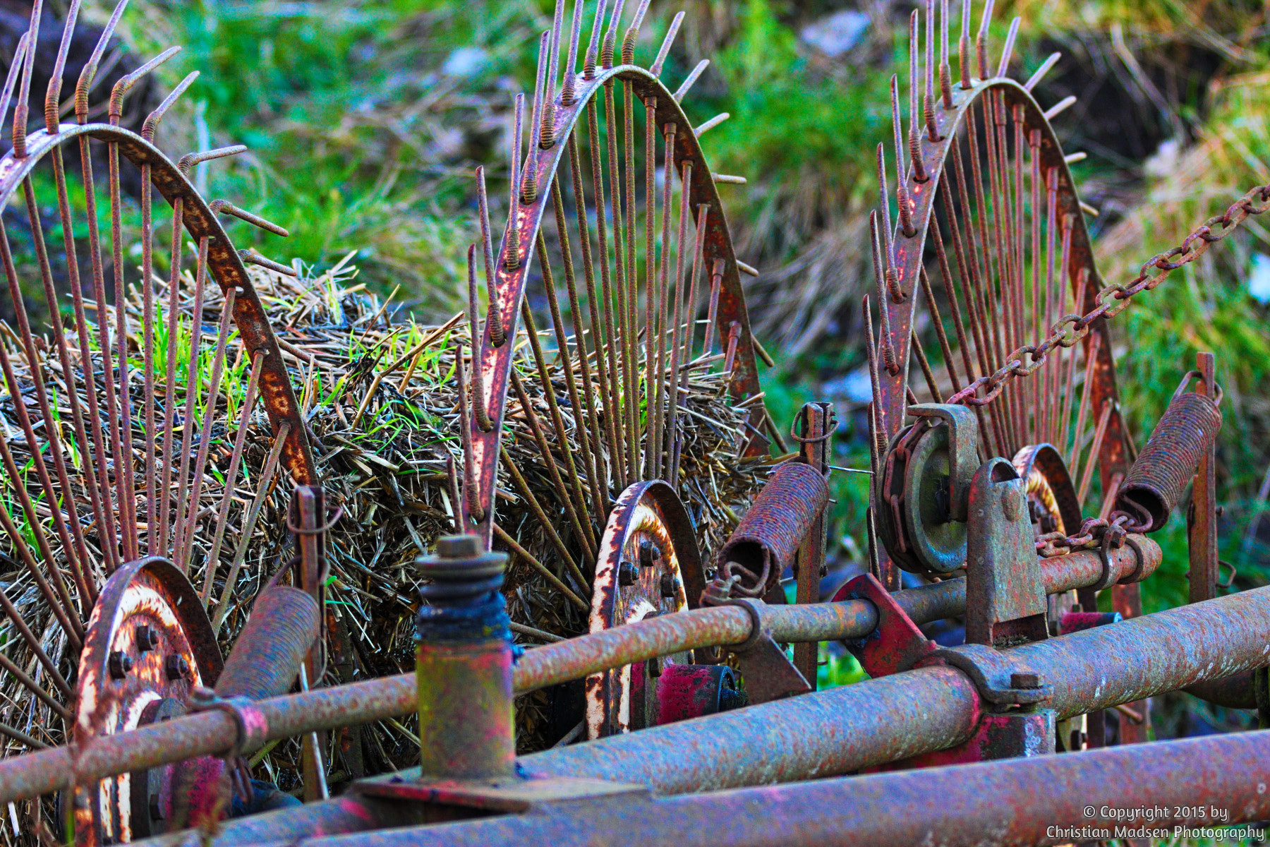 Canon EF 70-200mm F2.8L IS II USM sample photo. Rusty hay turner photography