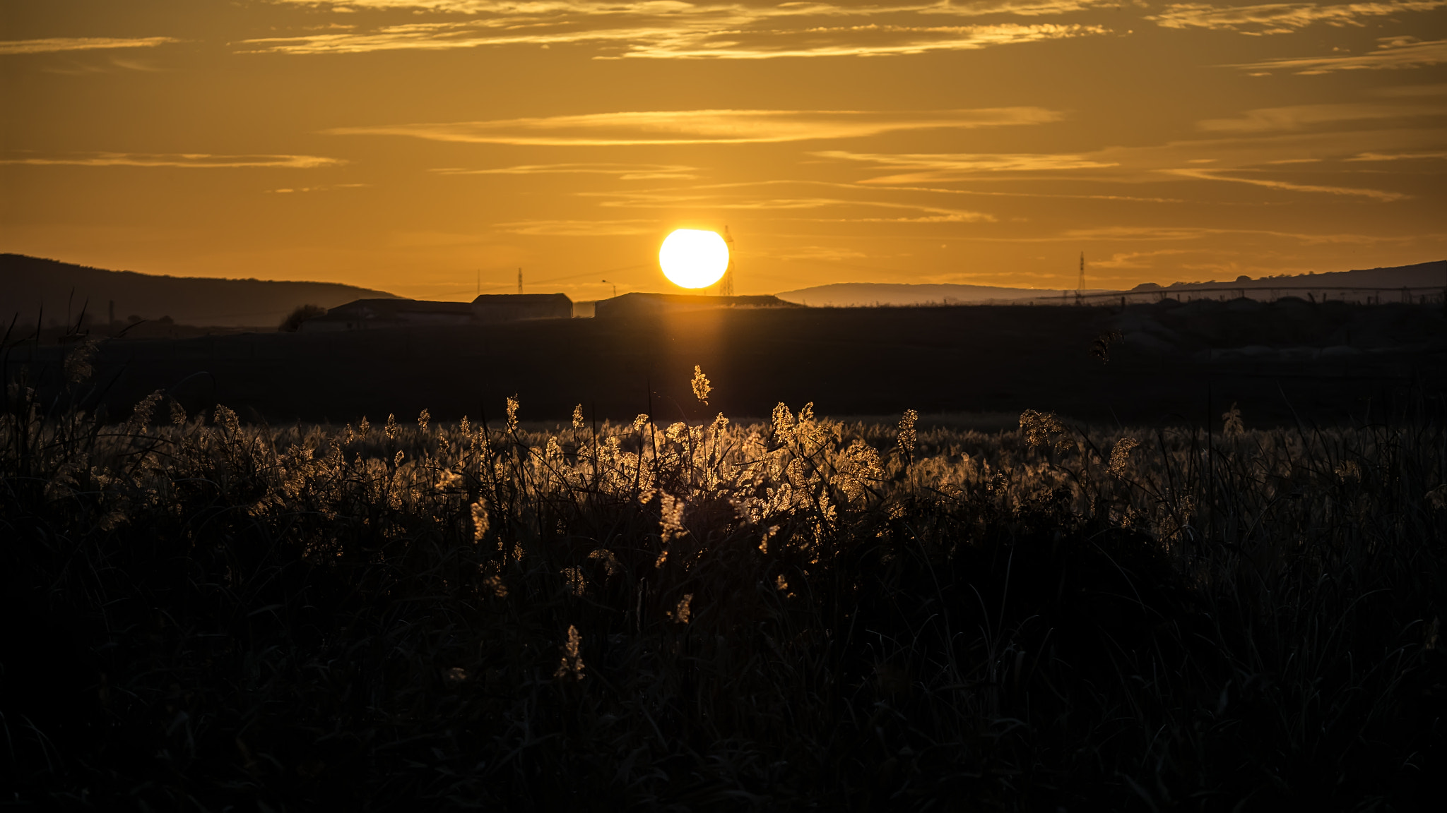 Olympus Zuiko Digital ED 40-150mm F4.0-5.6 sample photo. Sunset light photography