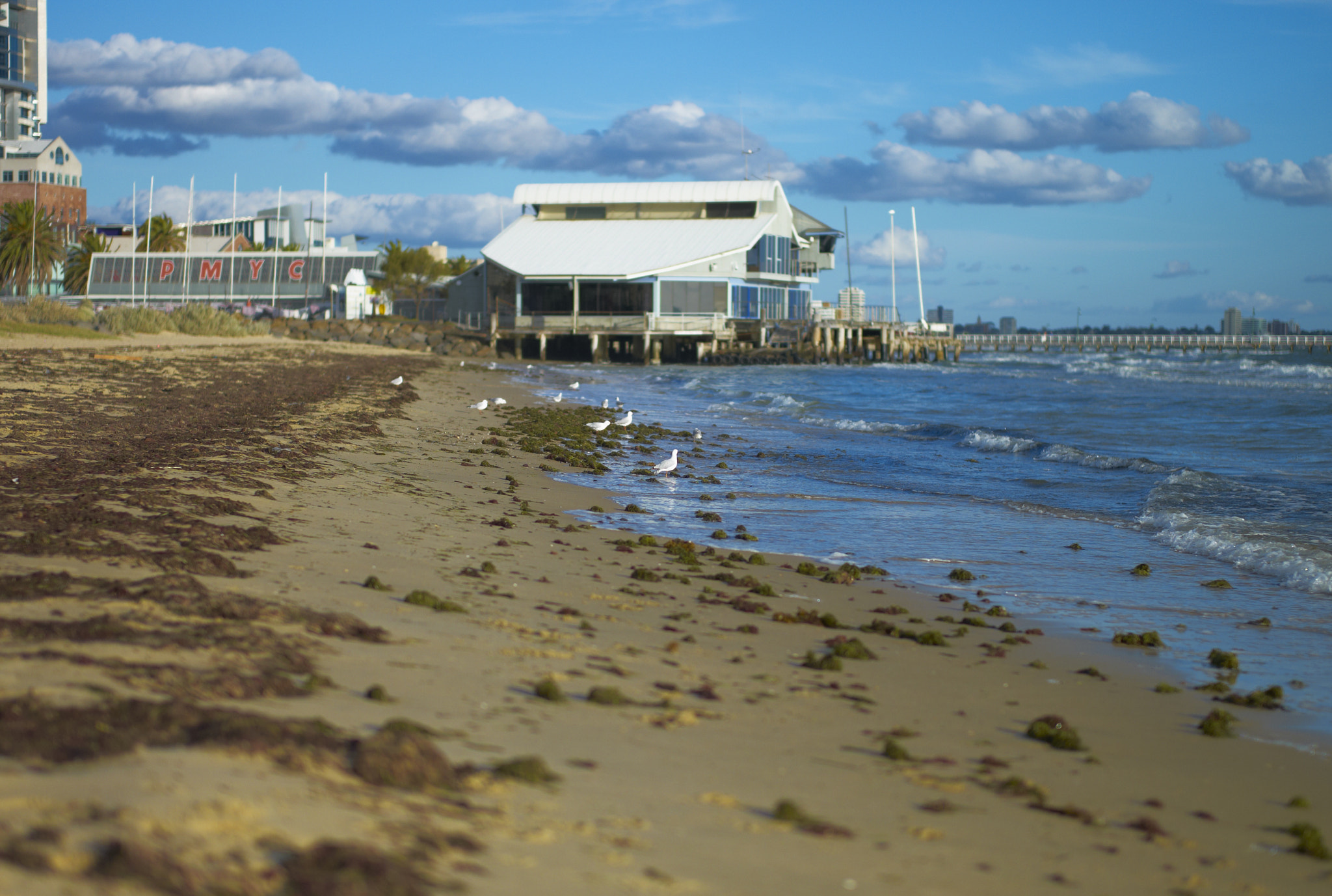 Leica M8 sample photo. Pmyc photography