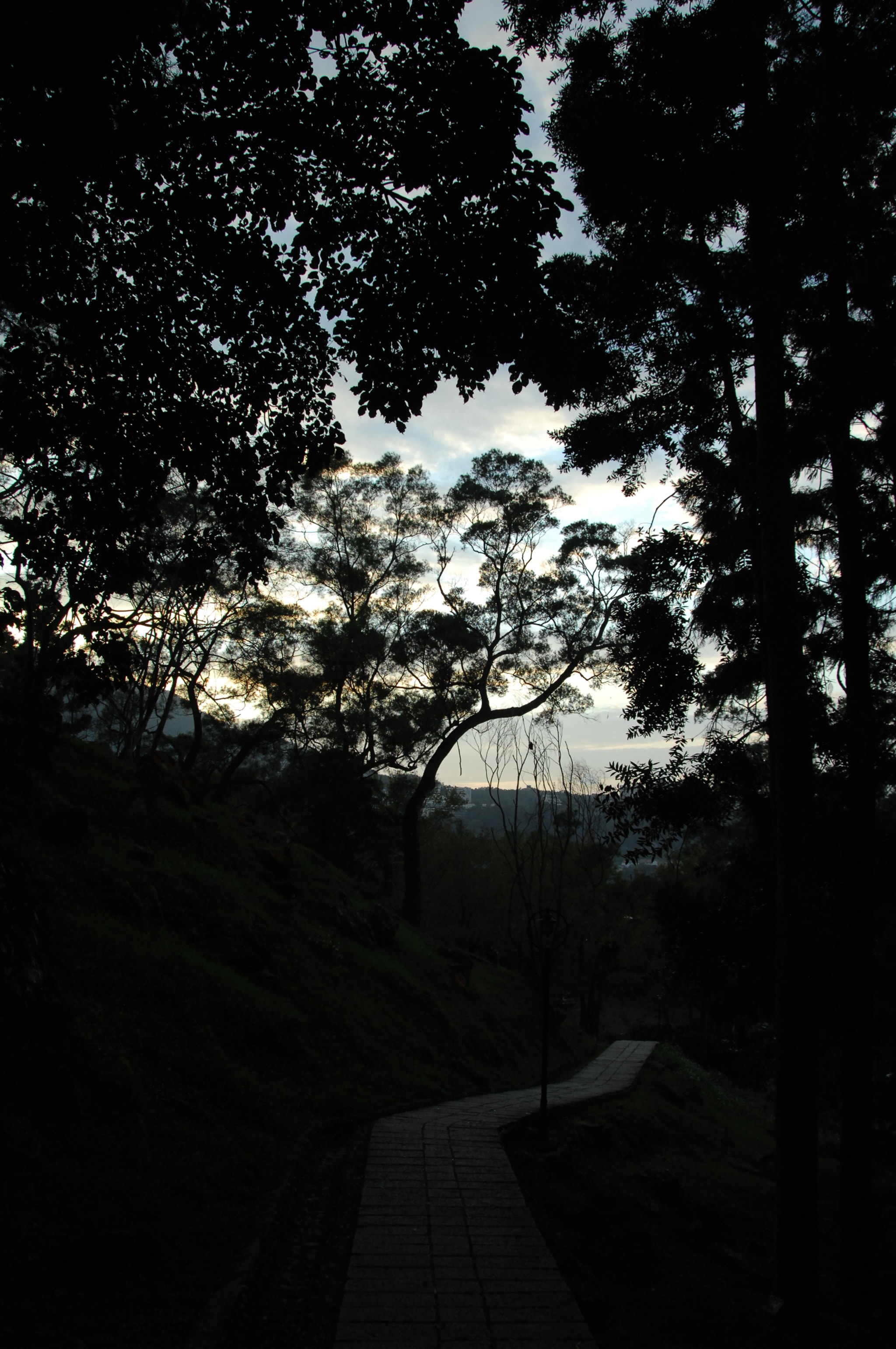 Nikon D2X sample photo. .. photography