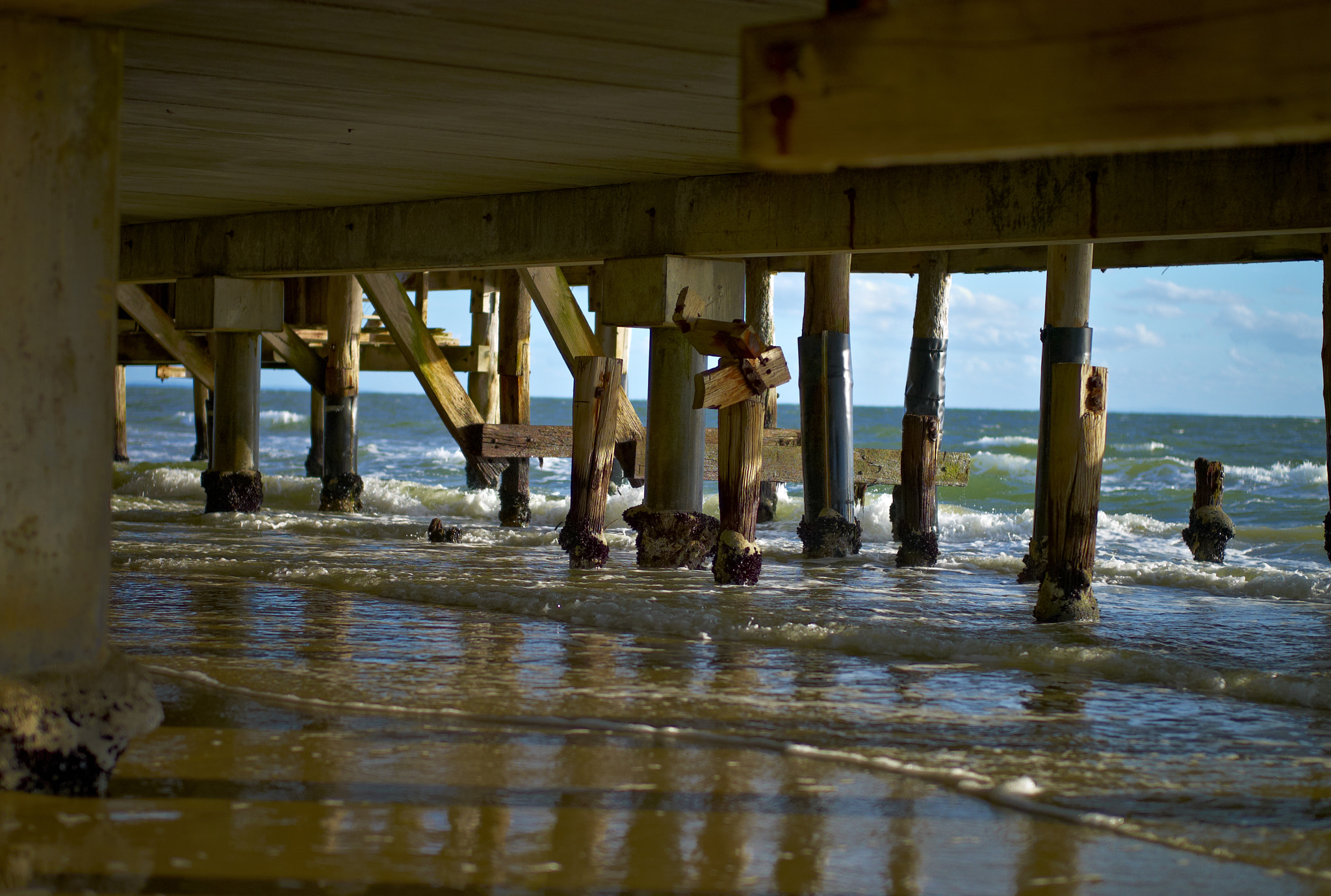 Leica M8 sample photo. Underneath pmyc photography