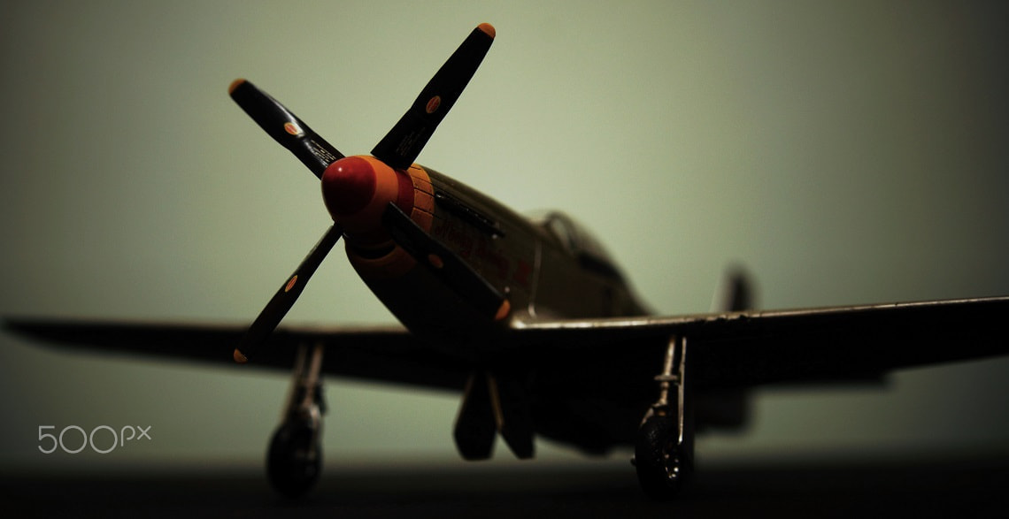 Sony DT 18-70mm F3.5-5.6 sample photo. Mustang photography