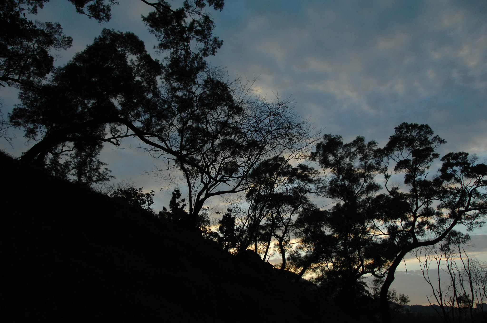 Nikon D2X sample photo. .. photography