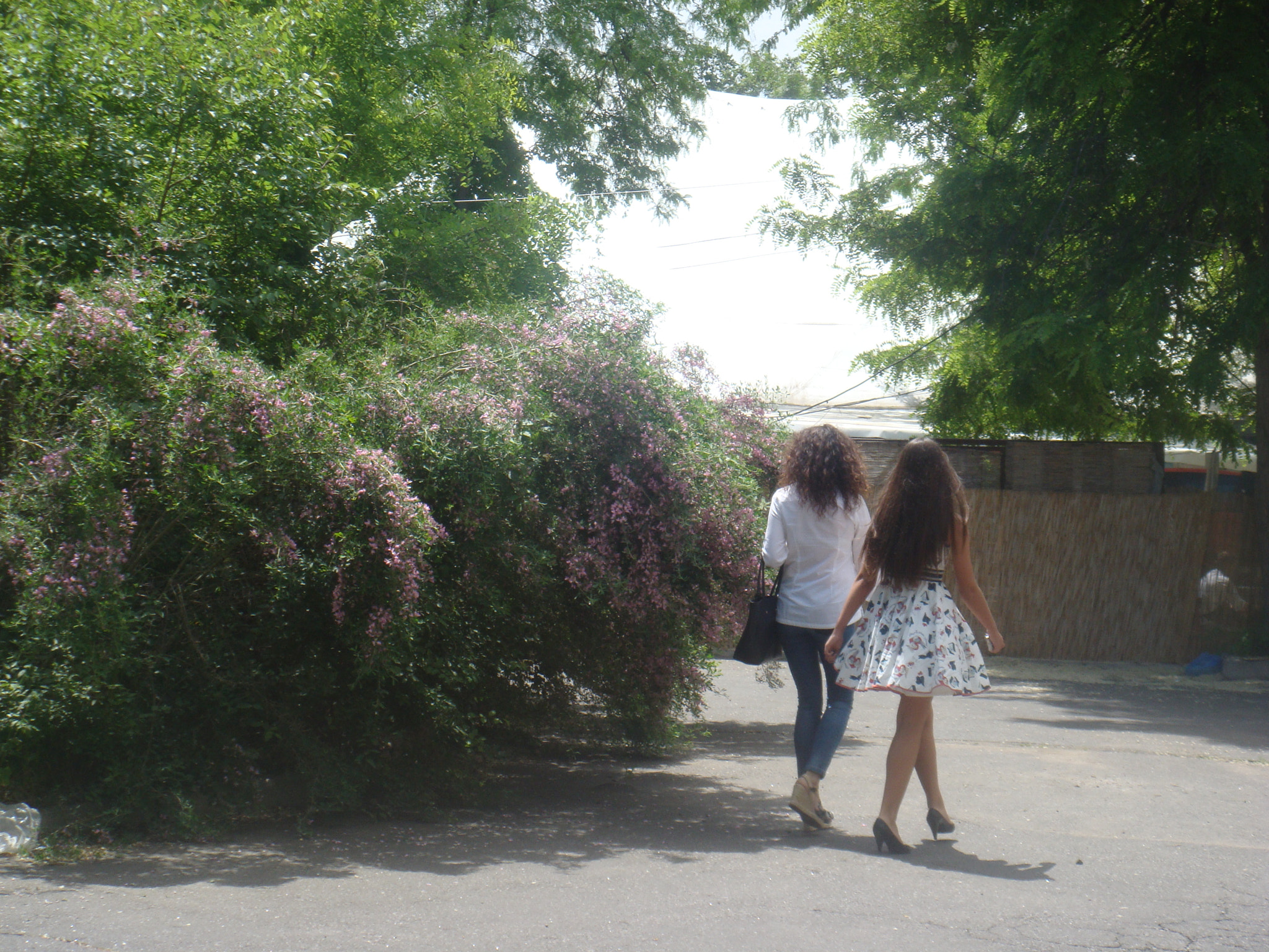 Sony DSC-T2 sample photo. Spring girls photography
