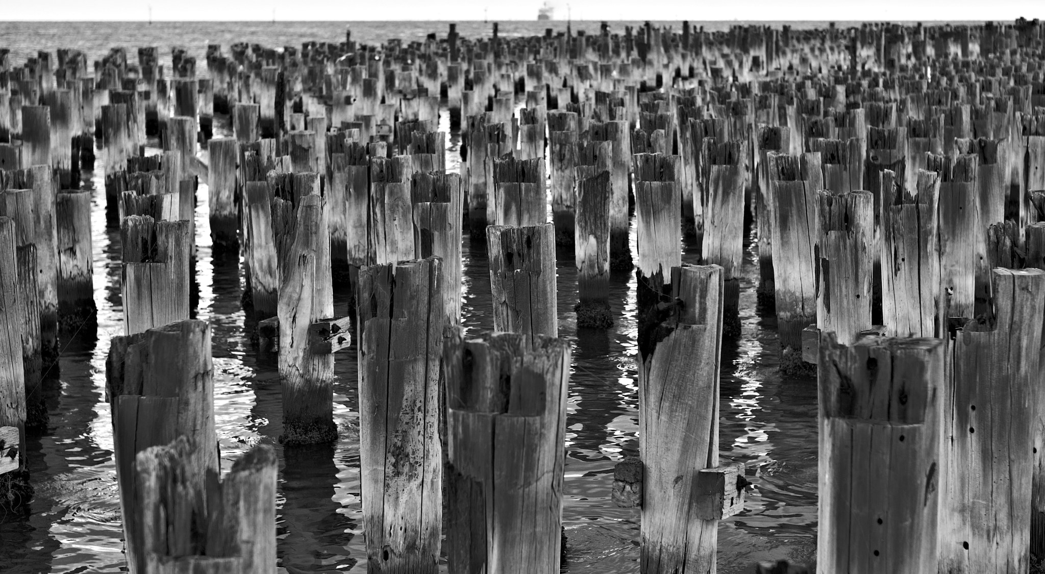 Leica M8 sample photo. Pier photography