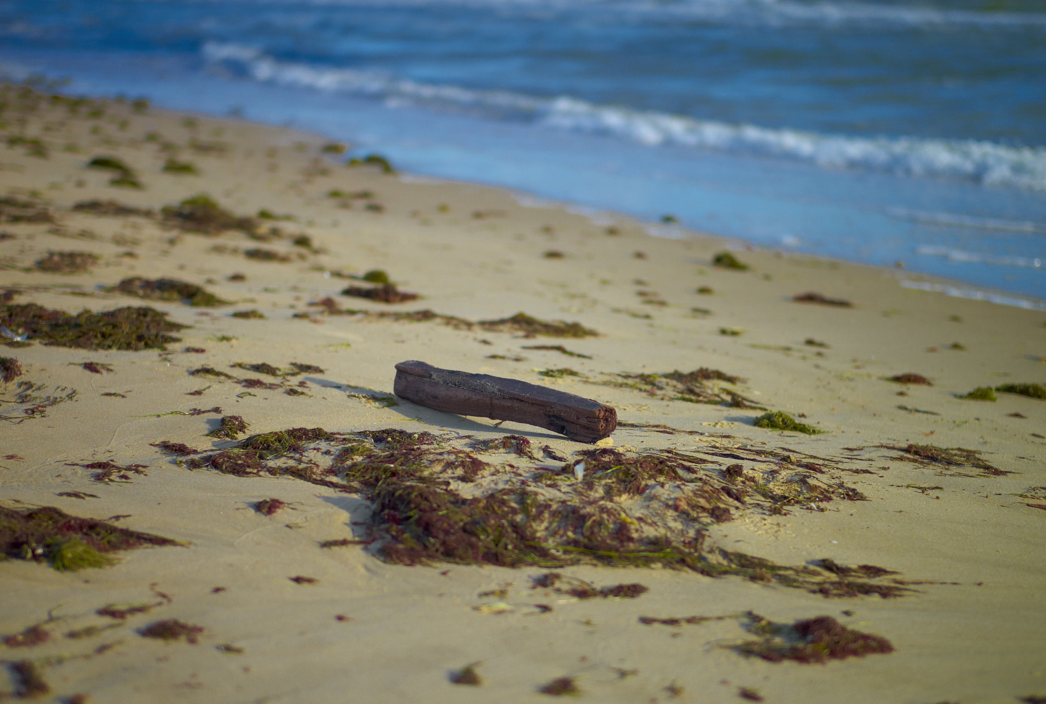Leica M8 sample photo. Beach photography