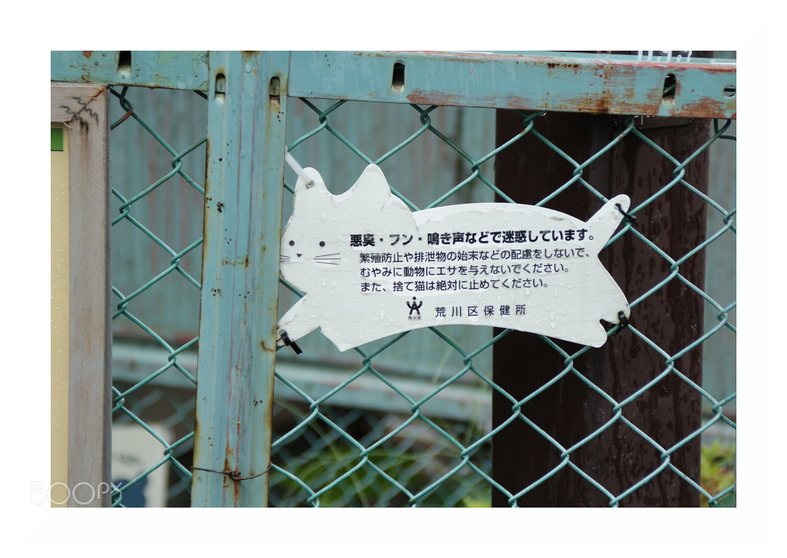 Canon EOS 100D (EOS Rebel SL1 / EOS Kiss X7) sample photo. Cat sign.jpeg photography