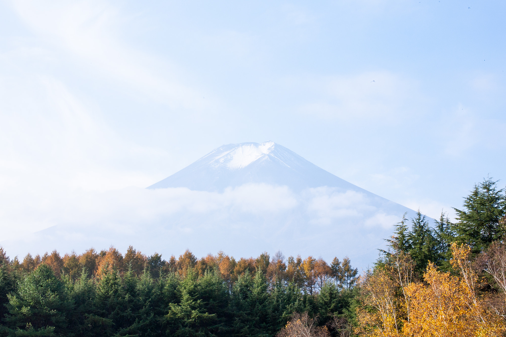Tamron SP 35mm F1.8 Di VC USD sample photo. Sacred mountain fuji photography