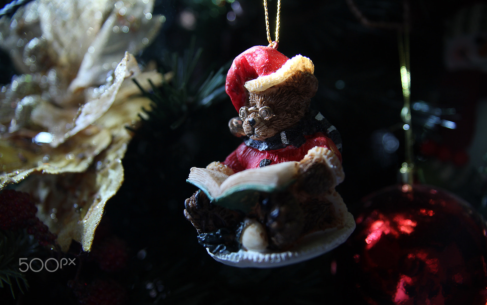 Sigma 17-70mm F2.8-4 DC Macro OS HSM sample photo. Christmas bear photography