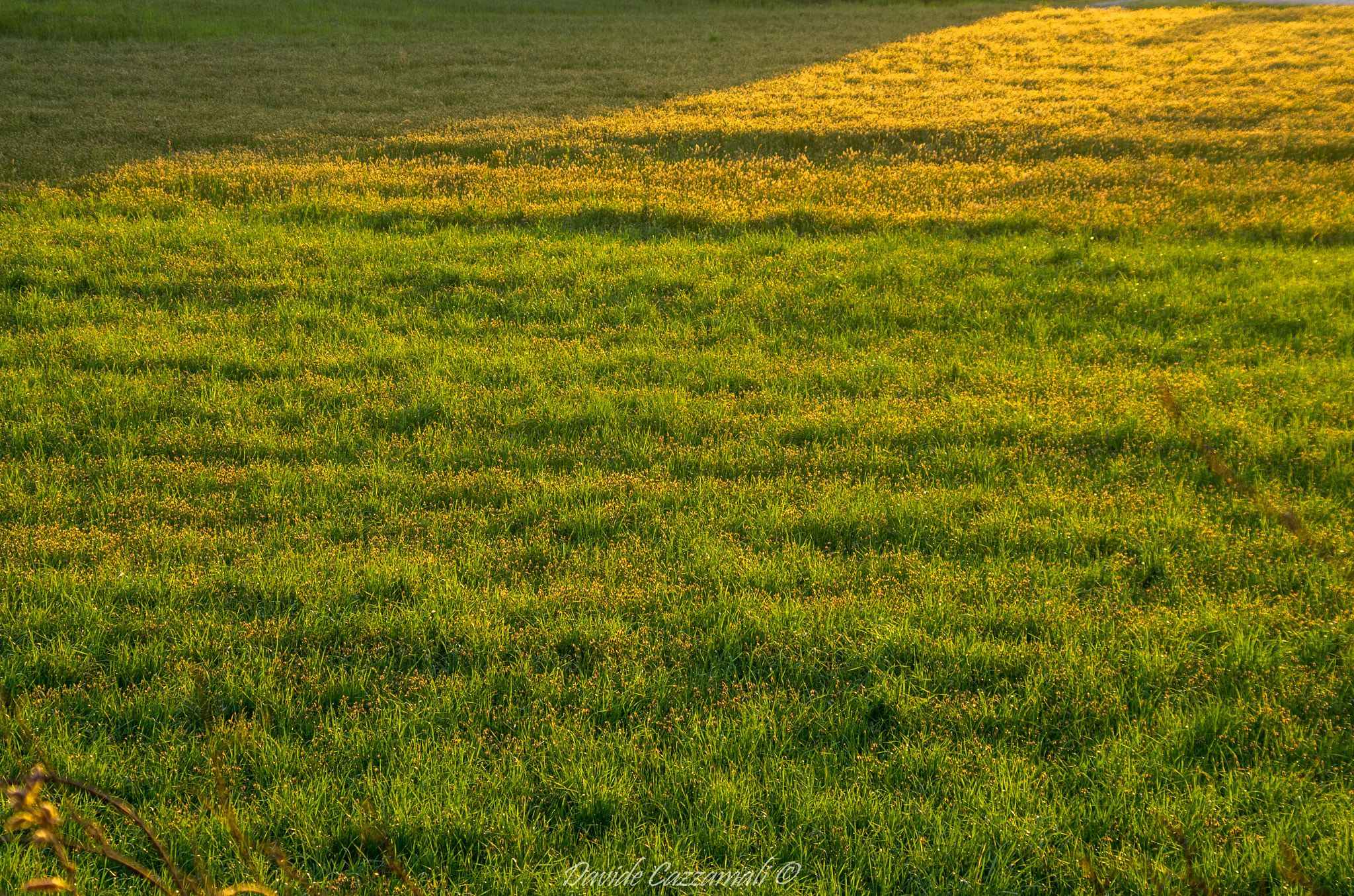 HD Pentax DA 55-300mm F4.0-5.8 ED WR sample photo. Dawn photography