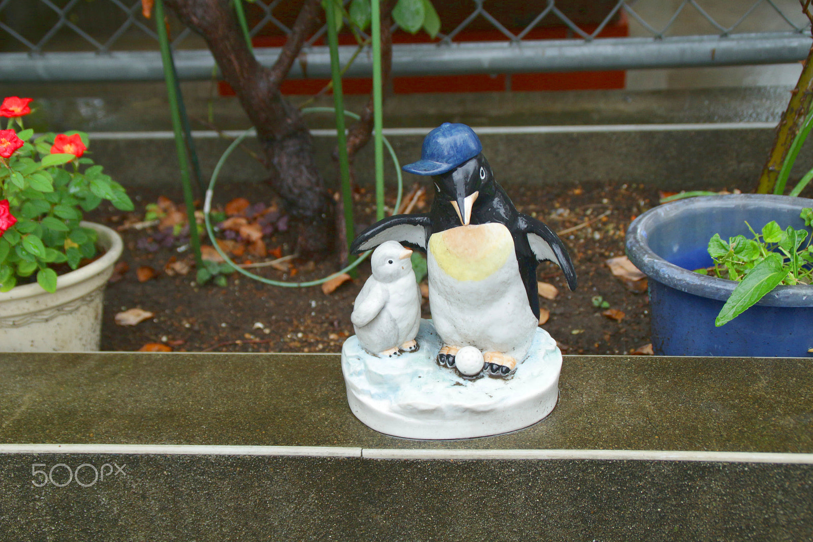 Canon EOS 100D (EOS Rebel SL1 / EOS Kiss X7) sample photo. Penguin friend photography