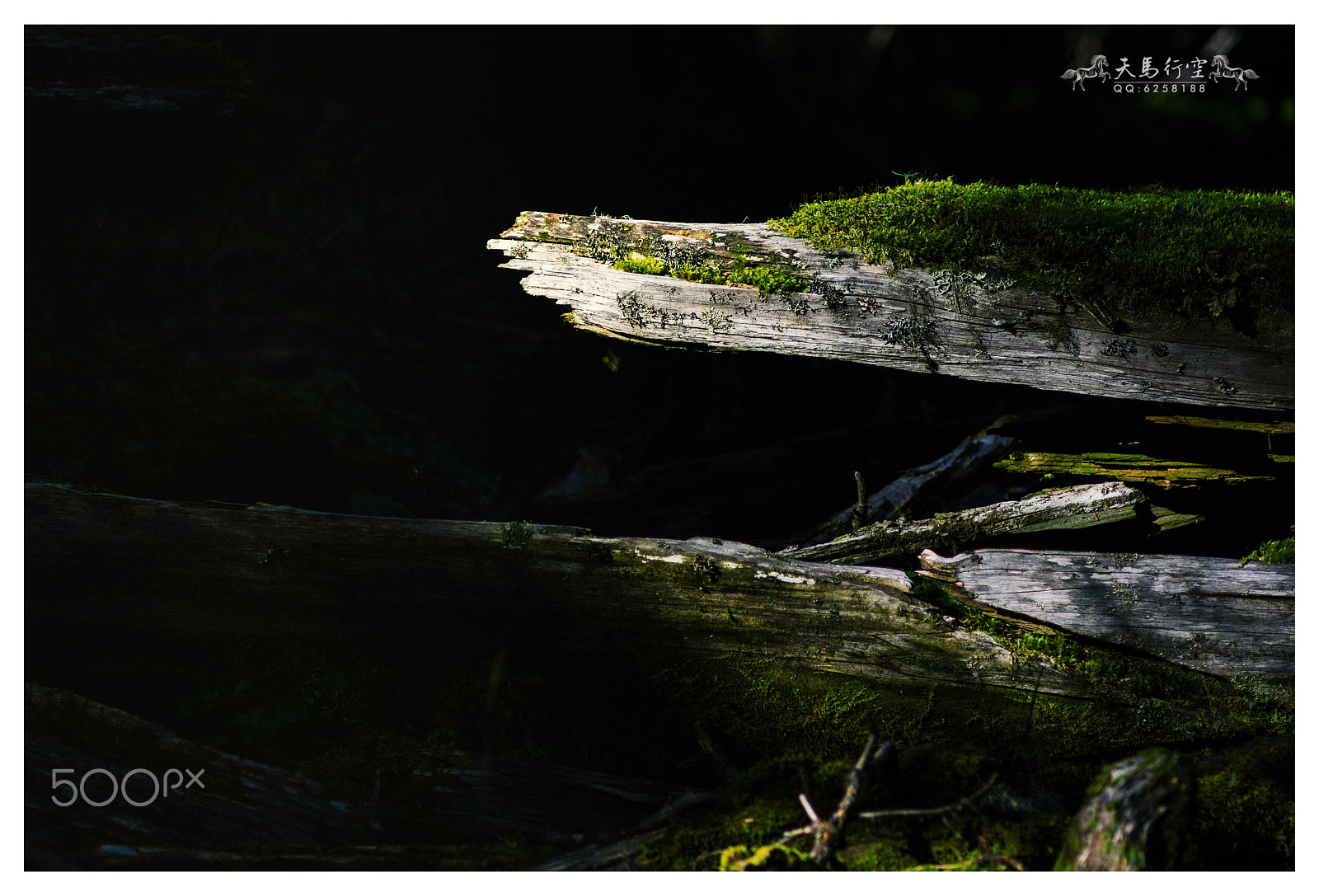 Nikon D7100 + Nikon AF Nikkor 180mm F2.8D ED-IF sample photo. Shangri-la deadwood photography