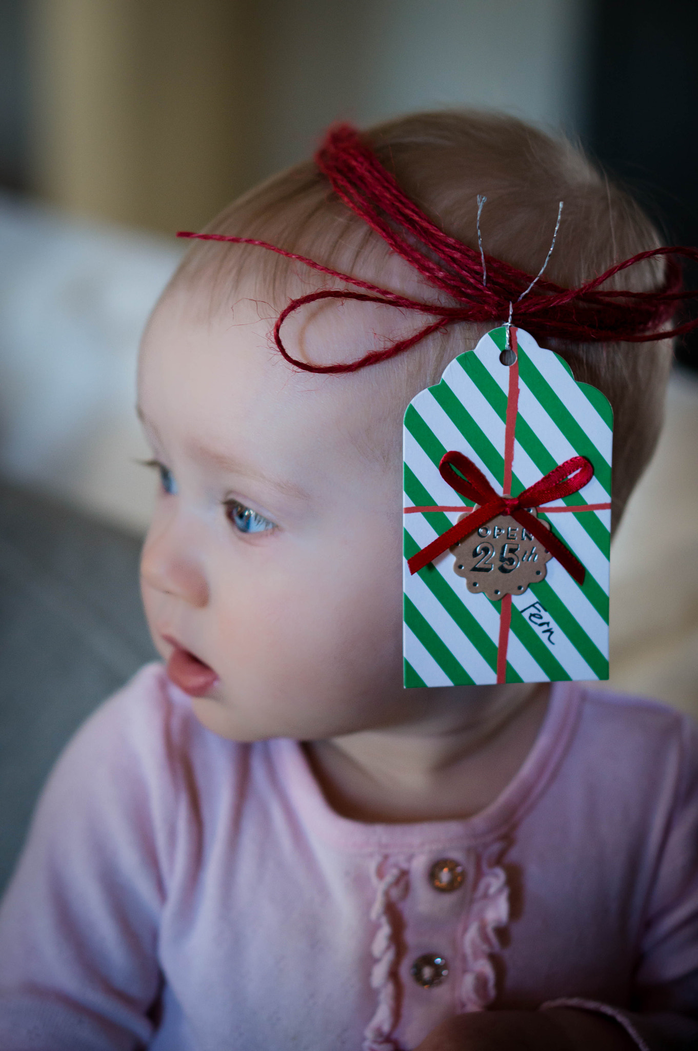 Sony Alpha NEX-5R + E 50mm F1.8 OSS sample photo. The gift 2 photography