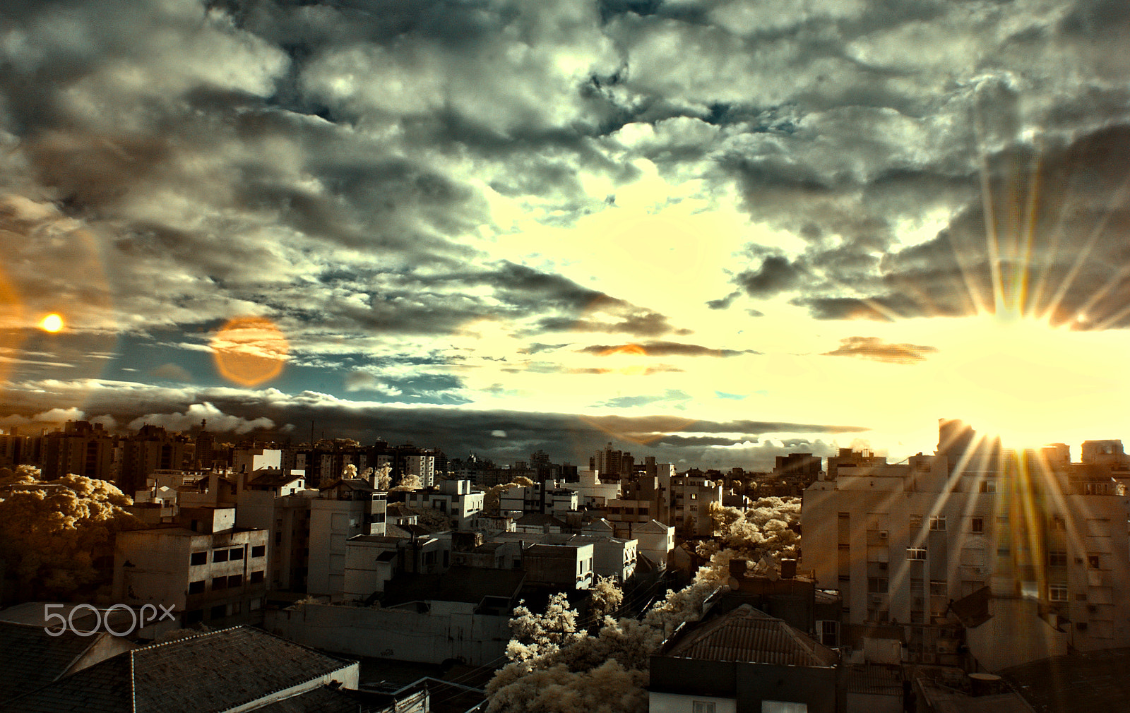 Nikon D70s sample photo. Dec, 26 photography