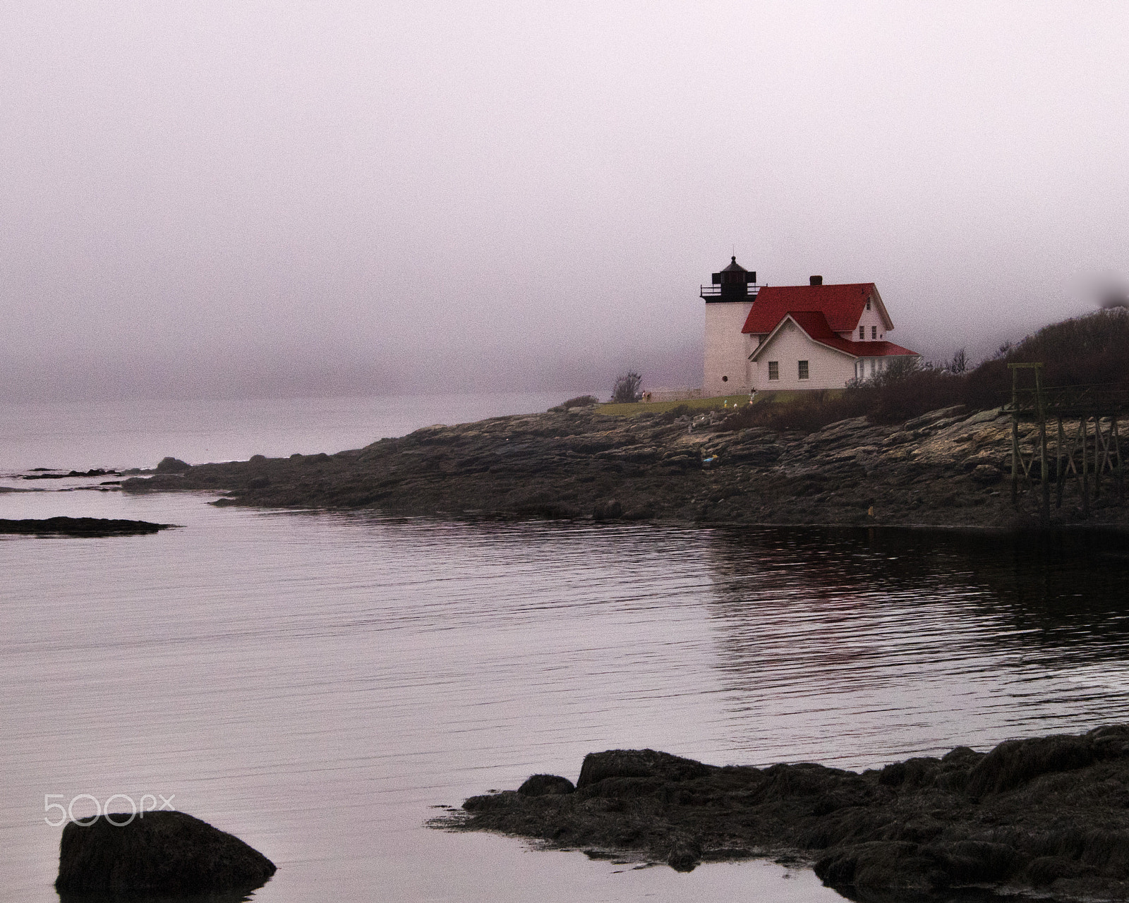 Sony DT 18-70mm F3.5-5.6 sample photo. Fog photography