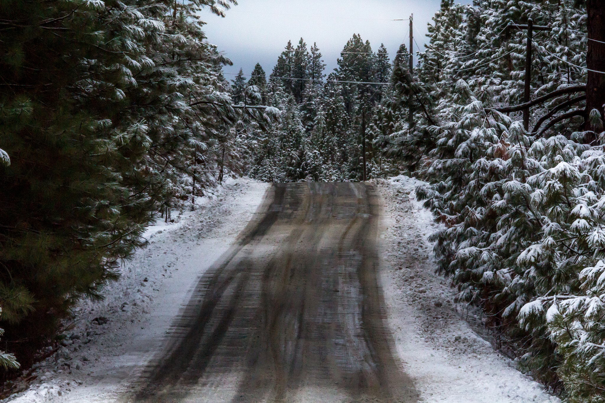 Sigma 70-200mm F2.8 EX DG OS HSM sample photo. On the road again photography