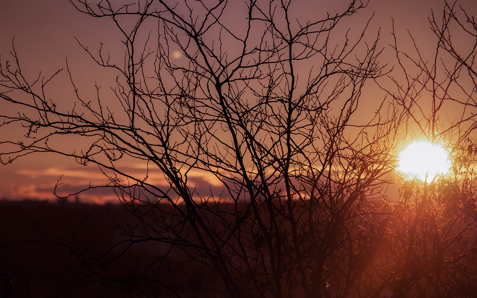 Sigma 70-200mm F2.8 EX DG OS HSM sample photo. Sunset photography