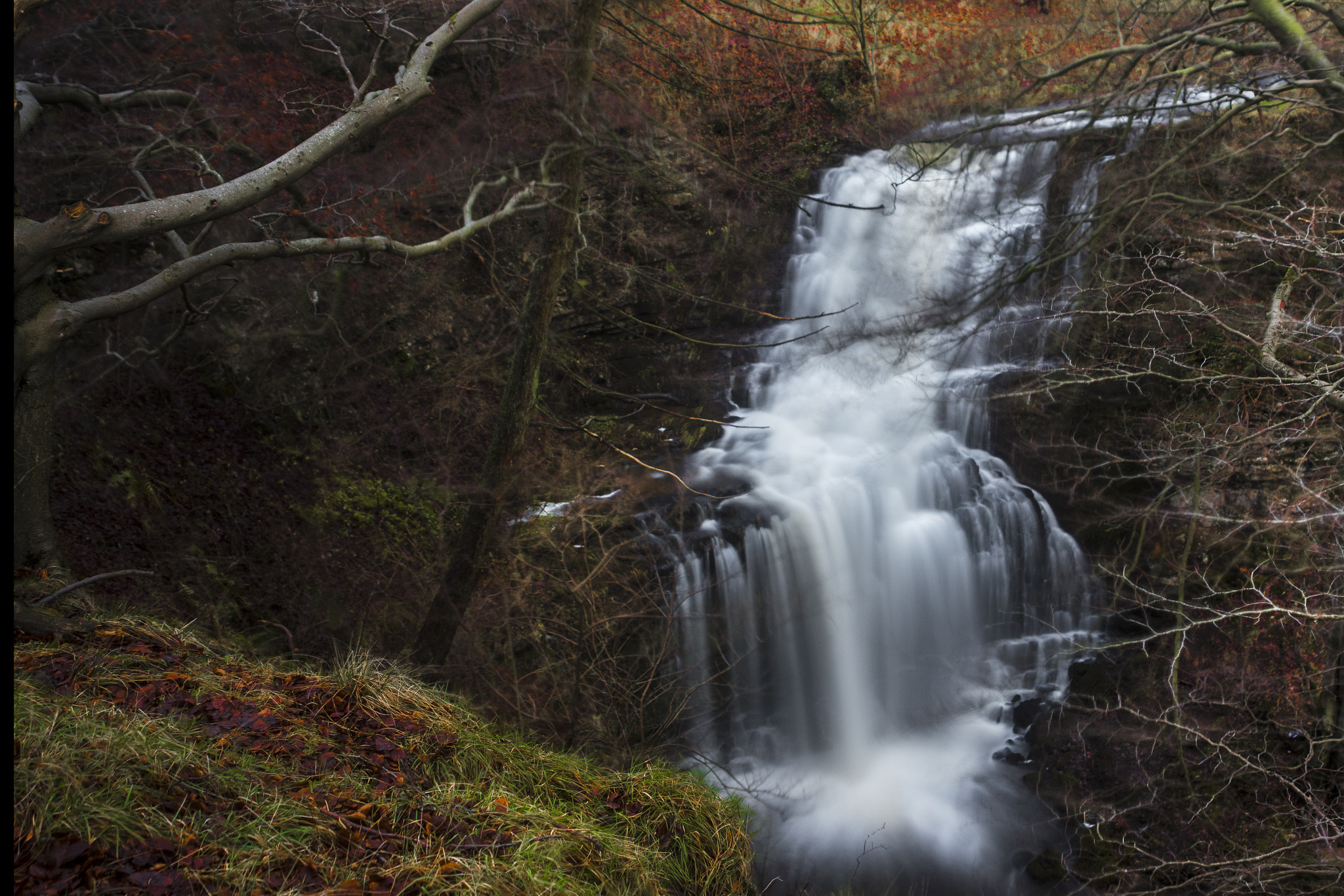 Sony ILCA-77M2 sample photo. Scaleber force photography