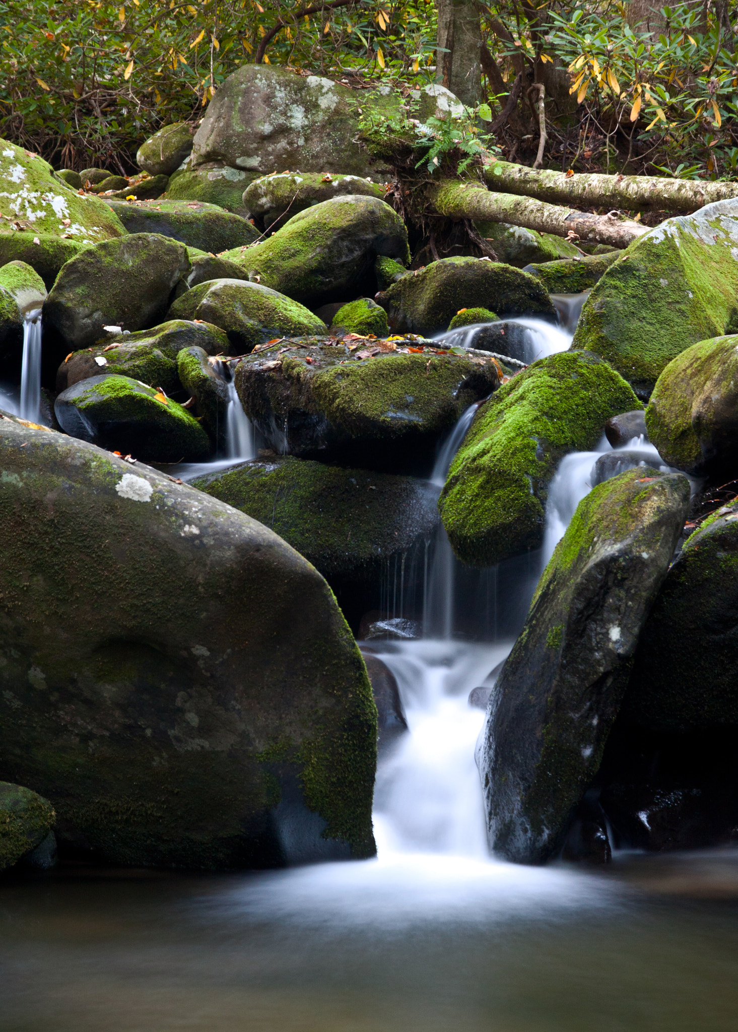 Sigma 17-70mm F2.8-4 DC Macro OS HSM sample photo. Roaring fork photography