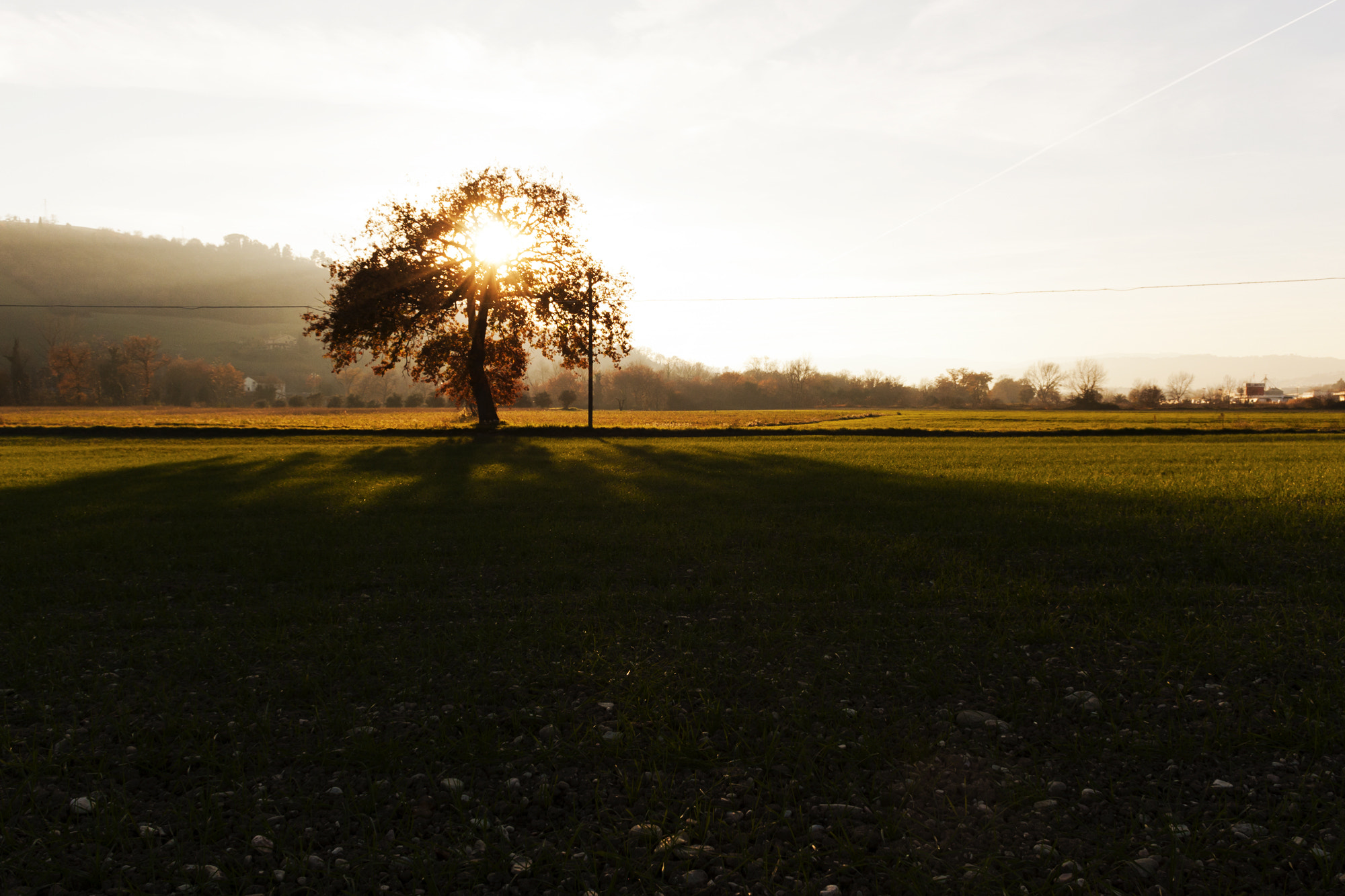 Sigma 18-50mm F2.8-4.5 DC OS HSM sample photo. In the shadow photography
