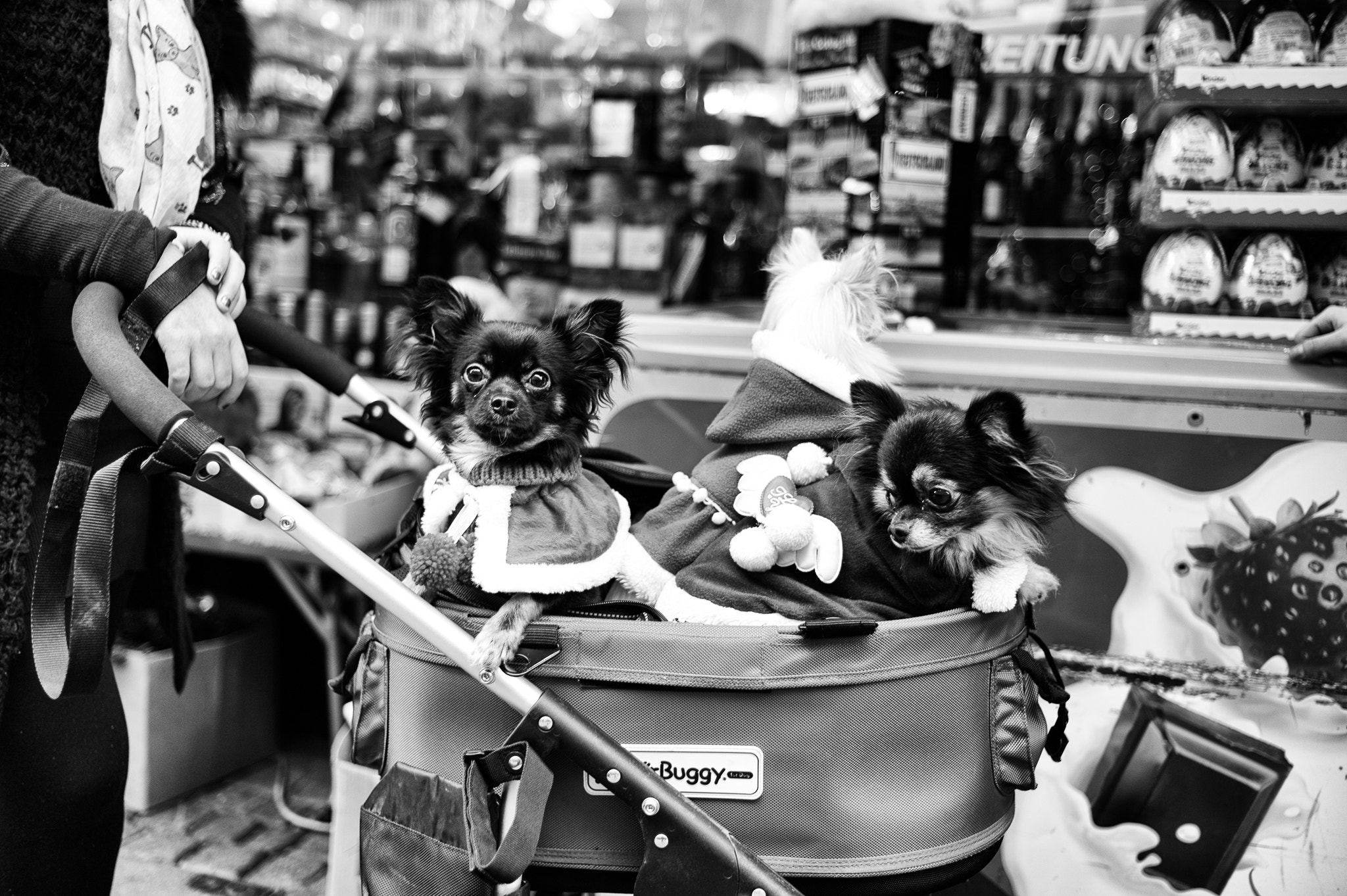 Summicron-M 50mm f/2 (IV, V) sample photo. Kiddies photography