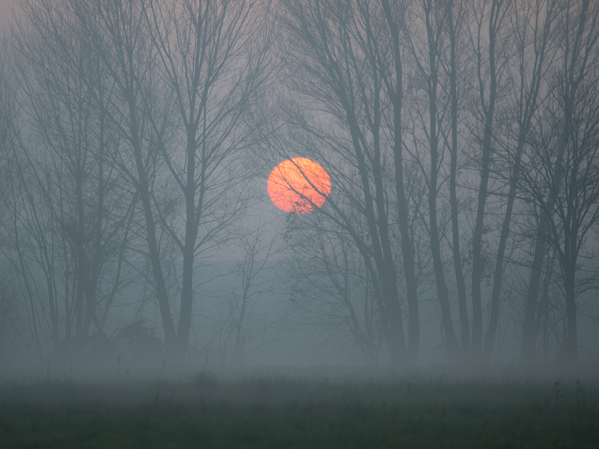 Nikon Df sample photo. Foggy sunset photography