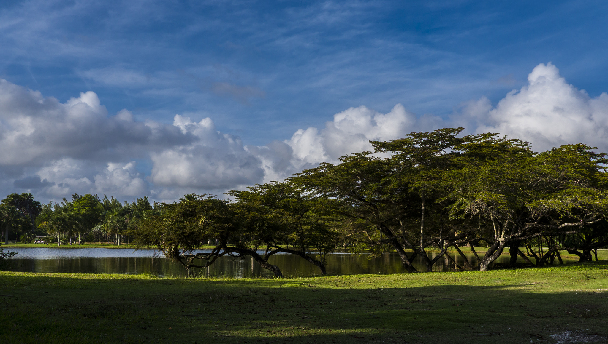Panasonic Lumix DMC-GH3 sample photo. Fairchild photography