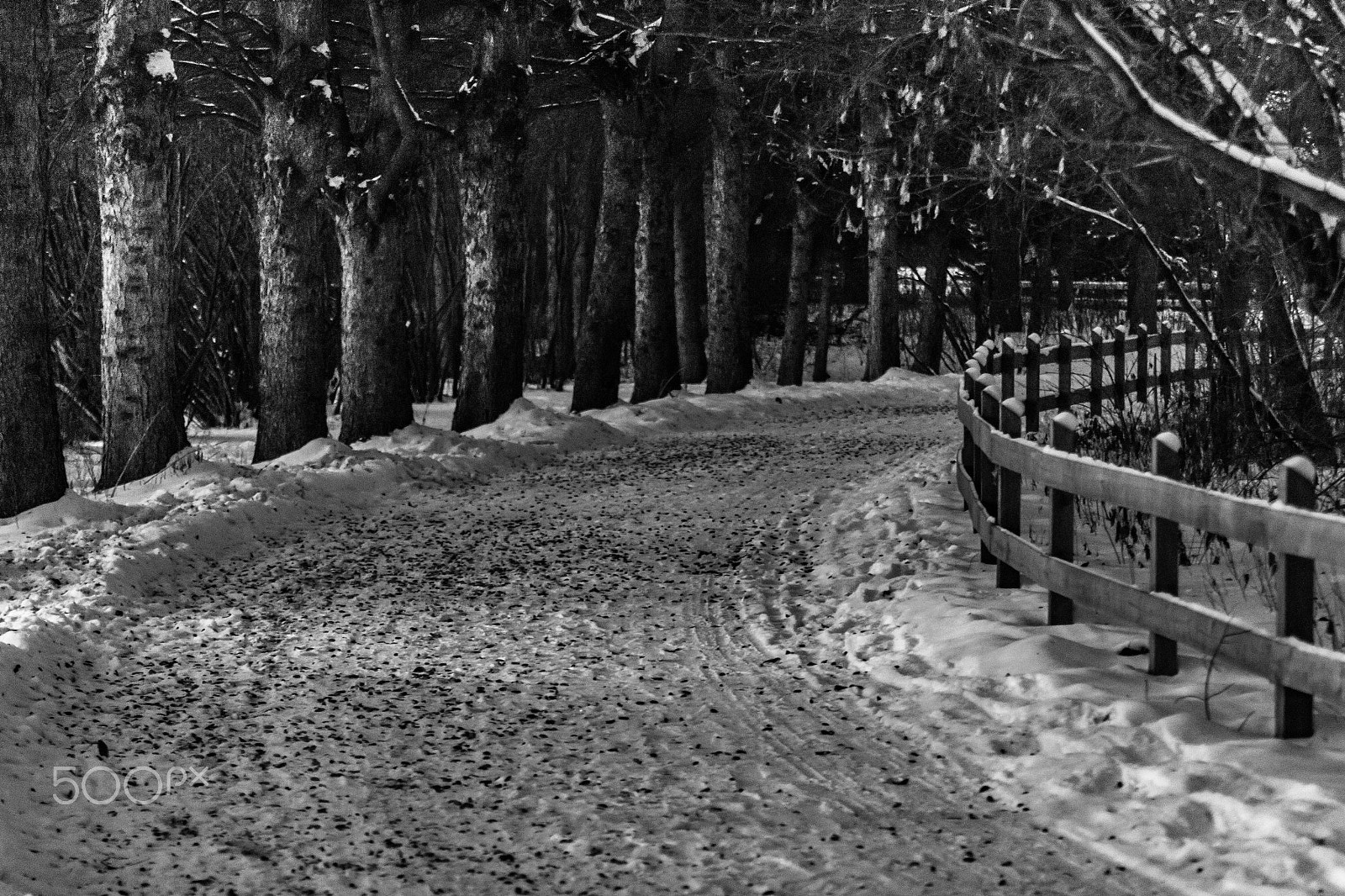 Canon EF 80-200mm f/2.8L sample photo. Victoria park photography