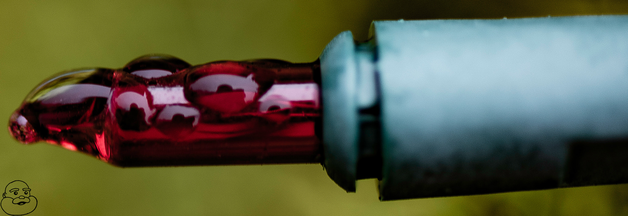 Canon EF 50mm F2.5 Macro sample photo. Red light photography