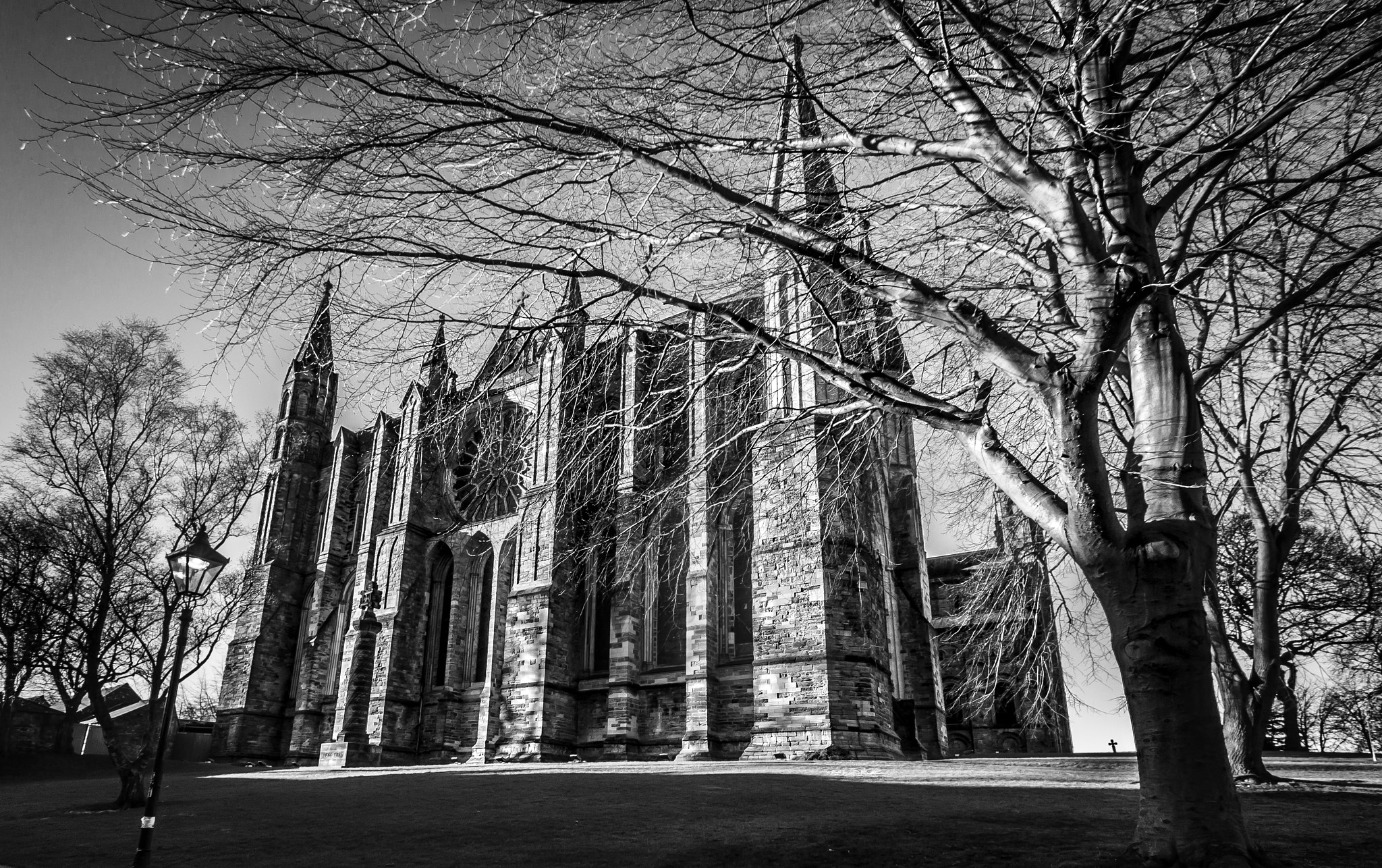 Sigma 10-20mm F3.5 EX DC HSM sample photo. Durham cathedral photography