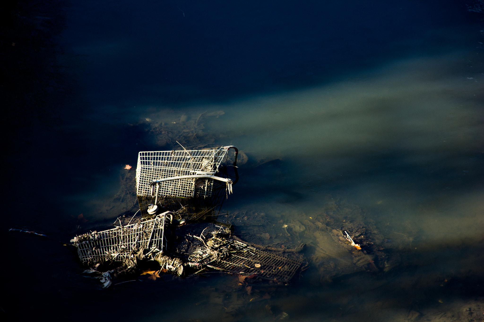 Sigma 18-125mm F3.8-5.6 DC OS HSM sample photo. ------------- photography