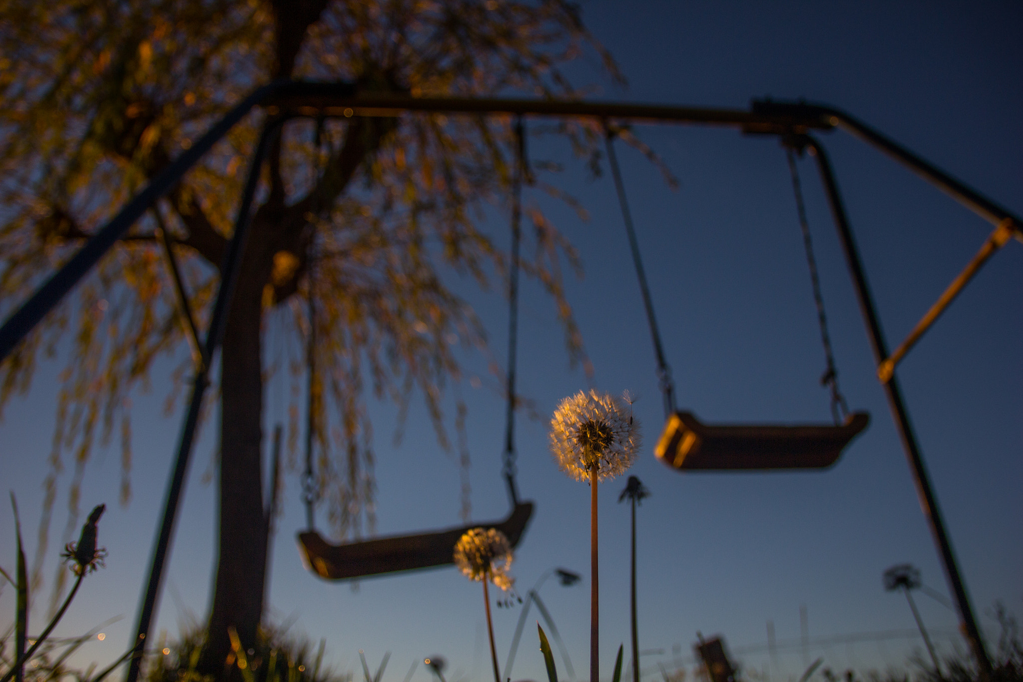 Sigma 18-125mm F3.8-5.6 DC OS HSM sample photo. **** photography