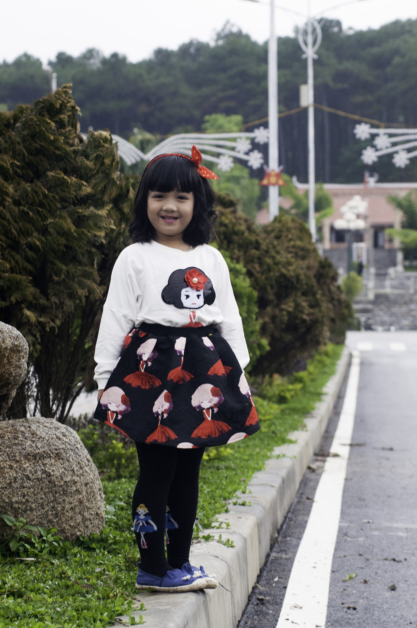AF Zoom-Nikkor 80-200mm f/2.8 ED sample photo. Phan photography