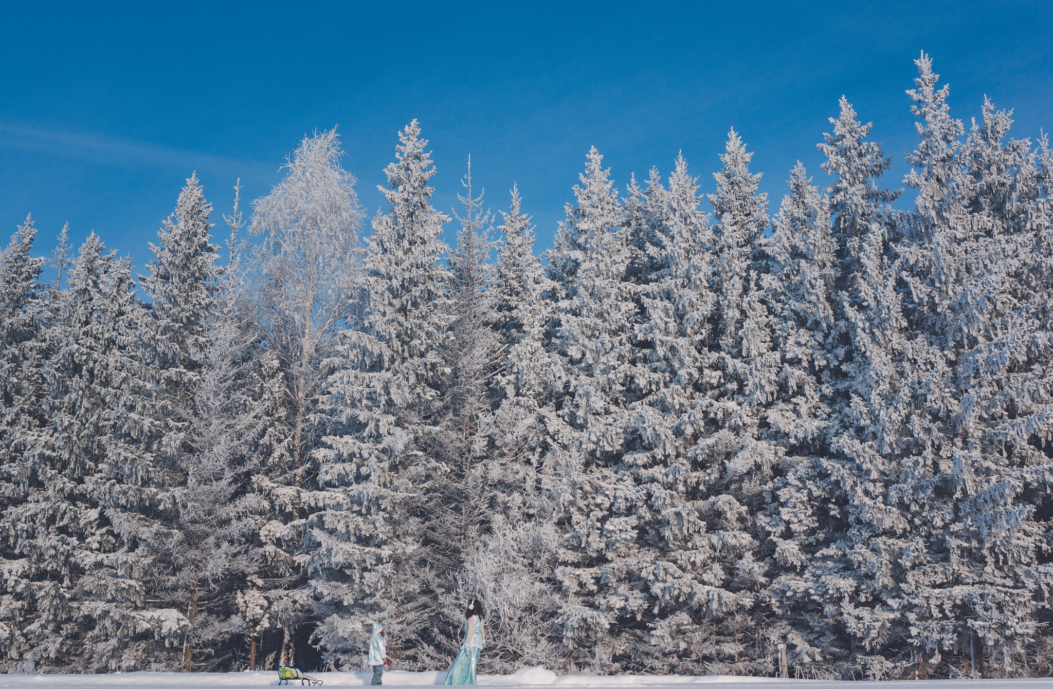 Sony SLT-A65 (SLT-A65V) sample photo. Winter's tale photography