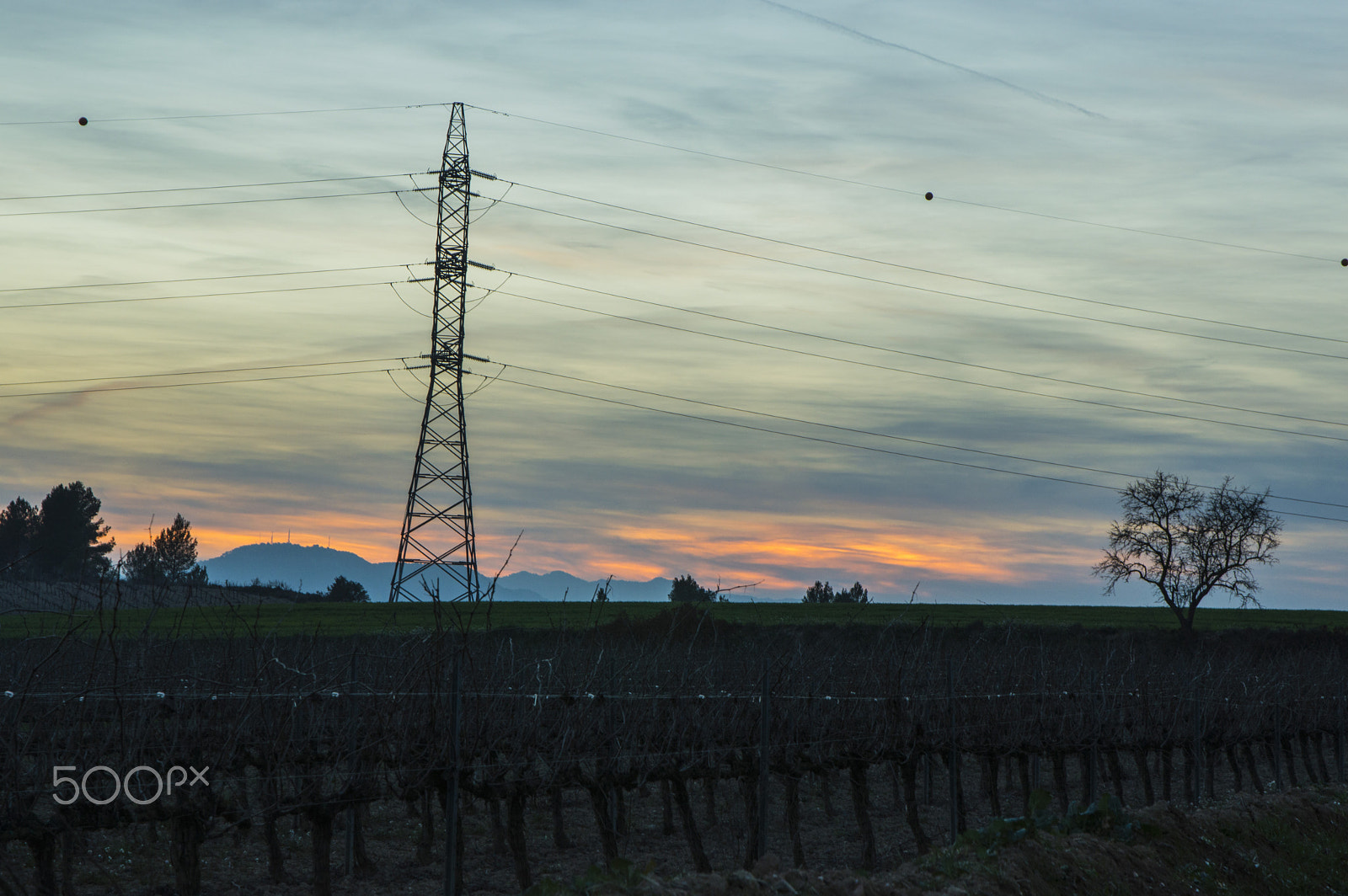 Sigma 17-70mm F2.8-4 DC Macro OS HSM | C sample photo. Vineyard photography