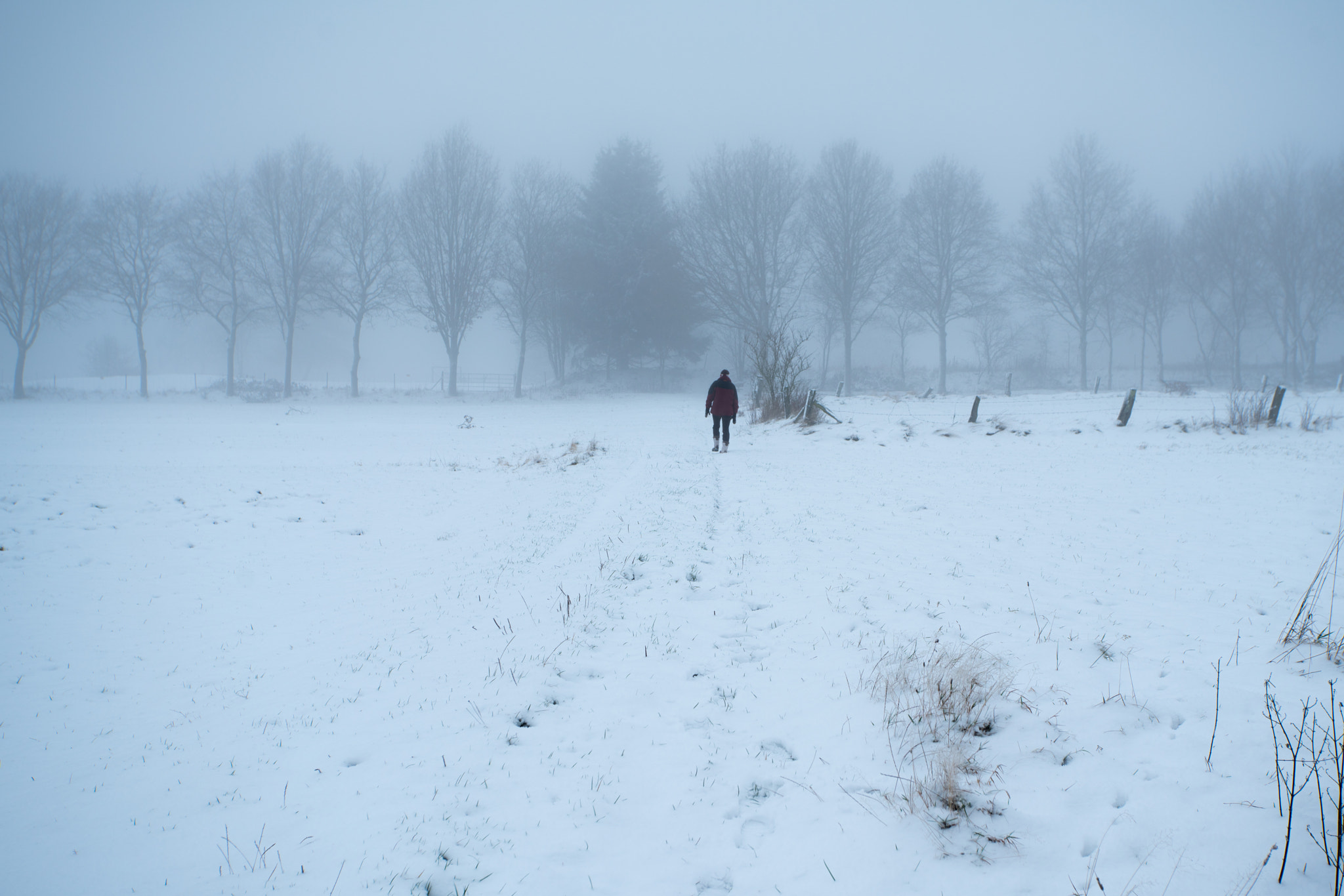 Tamron 18-270mm F3.5-6.3 Di II PZD sample photo. Foggy snow walk photography