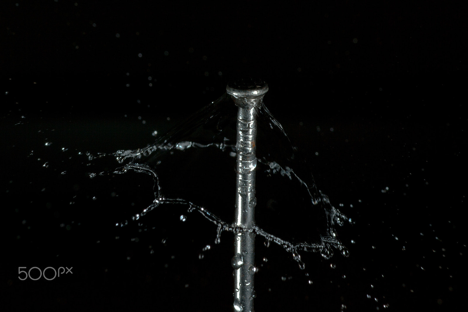 Canon EF 100mm F2.8 Macro USM sample photo. Impact photography