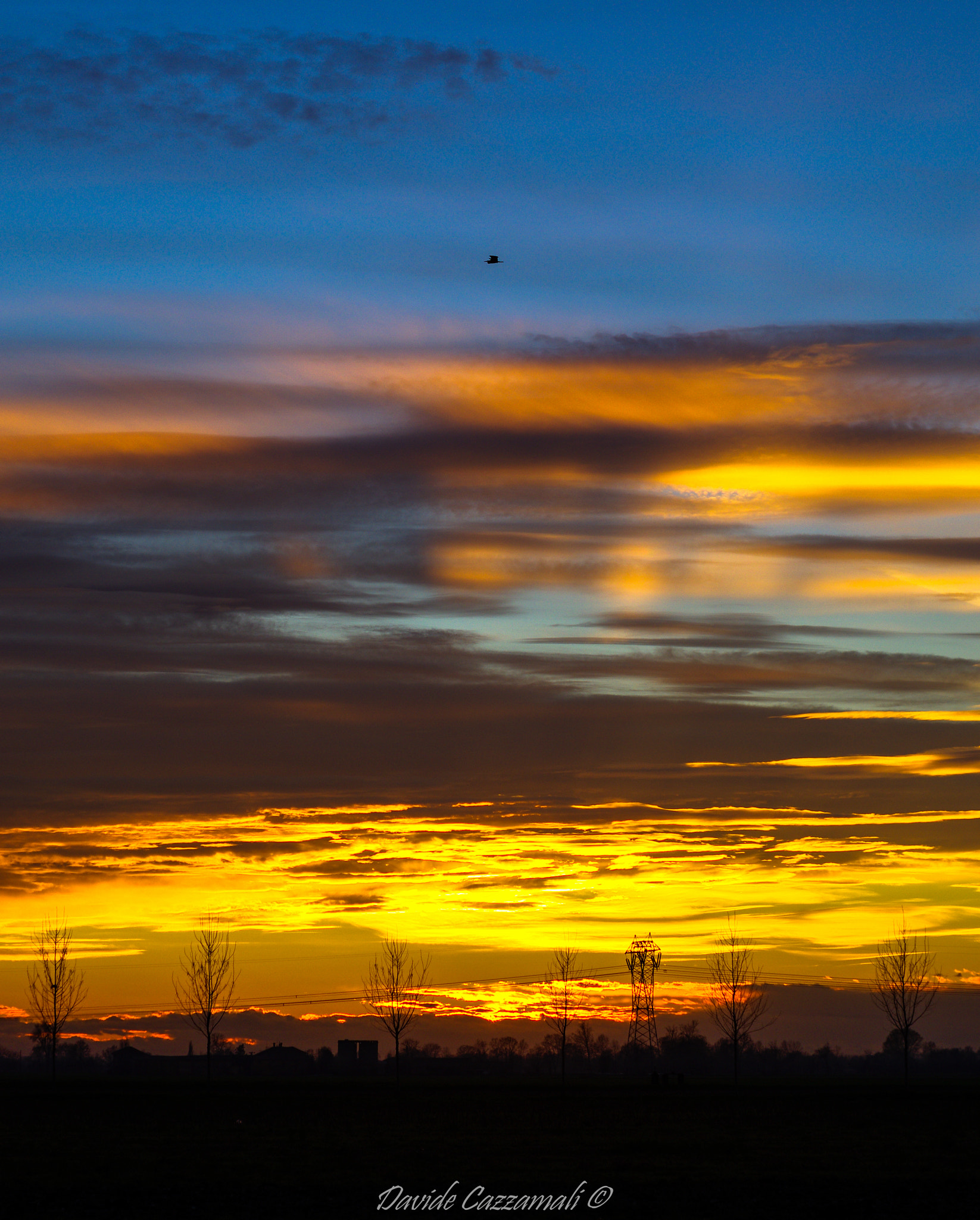 Pentax K-5 + smc PENTAX-F 50mm F1.7 sample photo. Flight at sunset photography