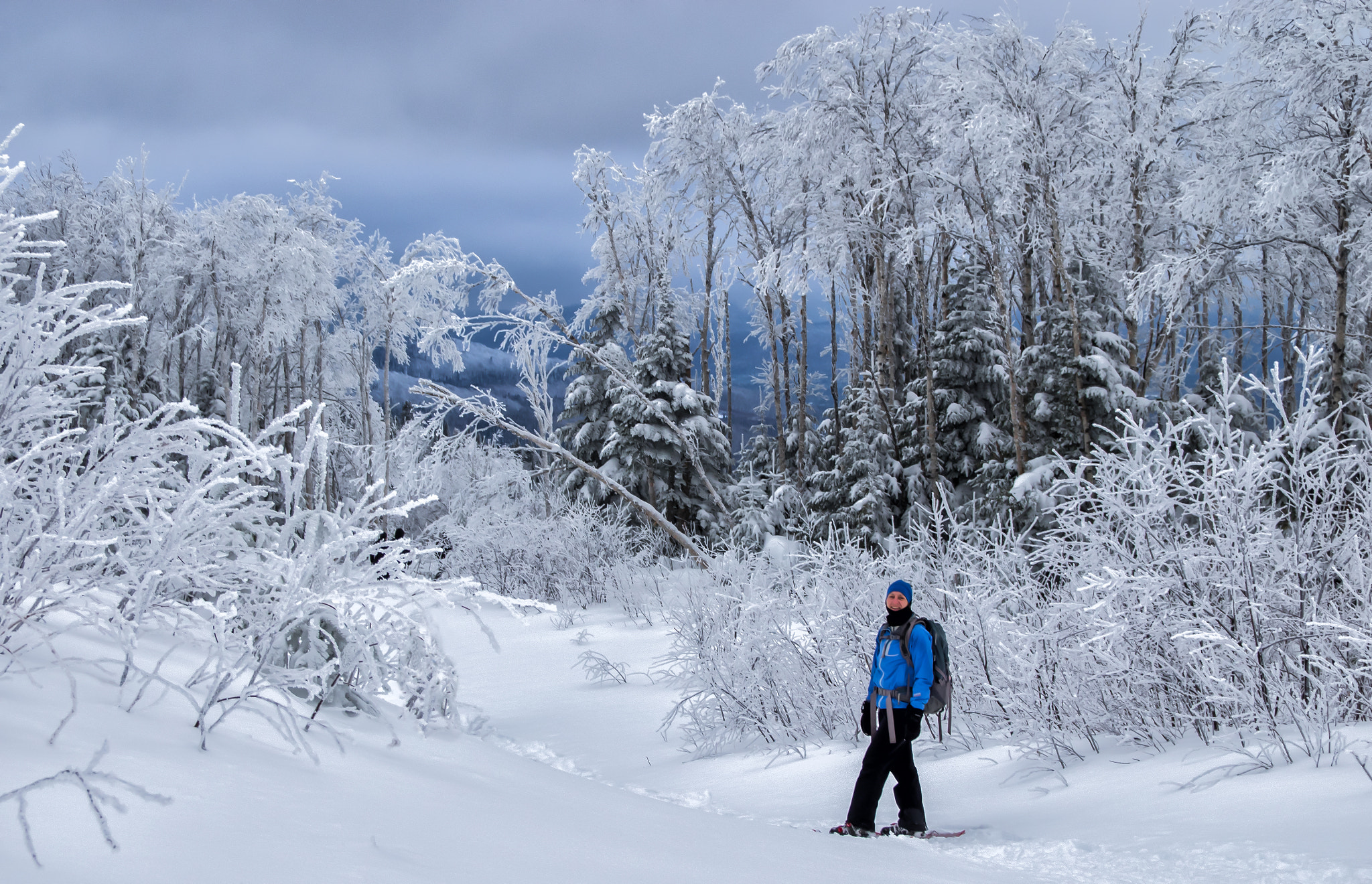 Panasonic Leica D Vario-Elmar 14-150mm F3.5-5.6 Asph Mega OIS sample photo. Snowshoeing - raquette photography