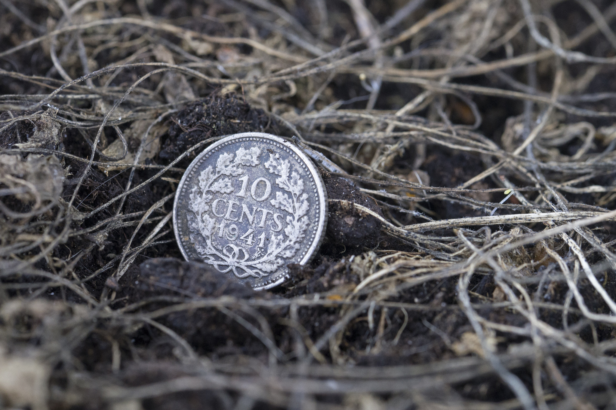 Sony a99 II + 90mm F2.8 Macro SSM sample photo. Cents photography